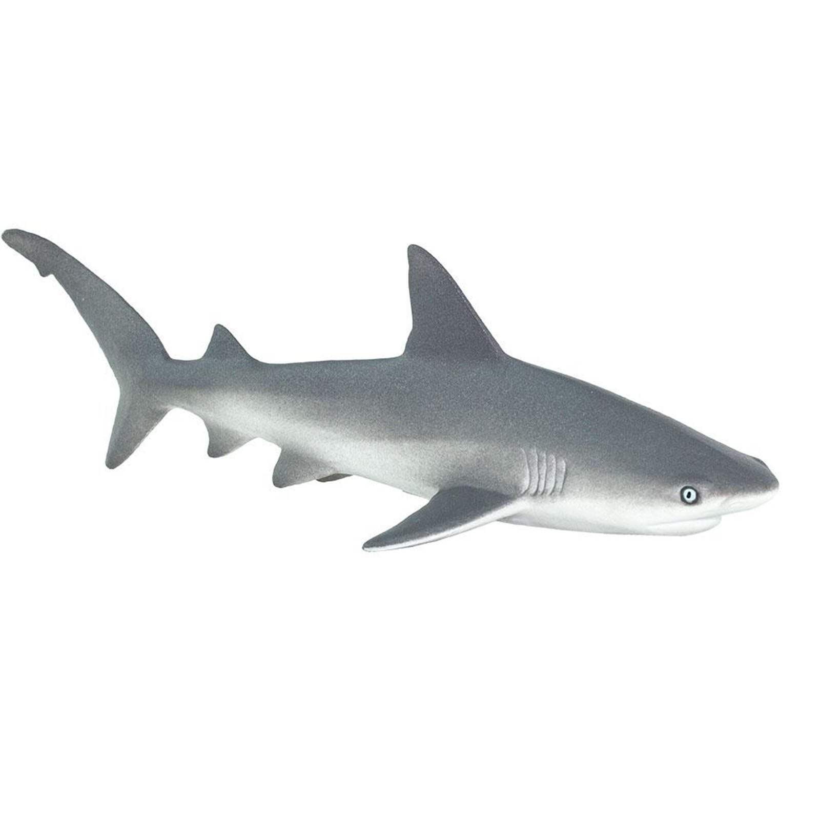 Gray Reef Shark Ocean Figure Safari Ltd 100099 NEW IN STOCK