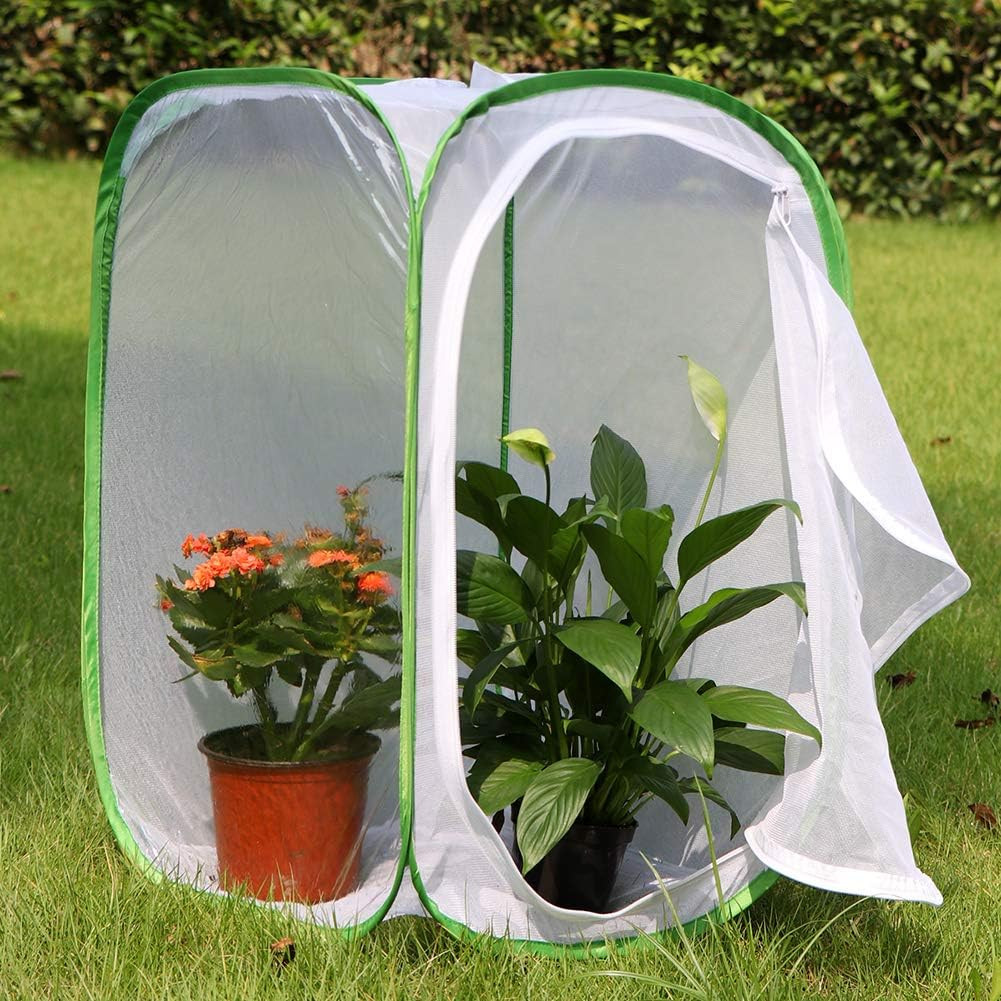 RESTCLOUD Insect and Butterfly Habitat Cage Terrarium Pop-Up 23.6 Inches Tall