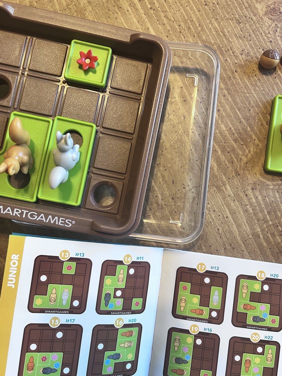 Smart Games Squirrels Go Nuts Critical Thinking Puzzle Game For Kids