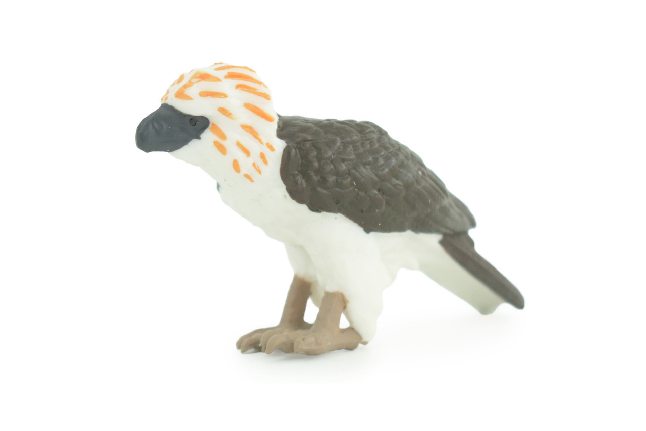 Philippine Eagle, Monkey Eagle Toy, Realistic Painted Rubber 2.5″ CH926 BB204