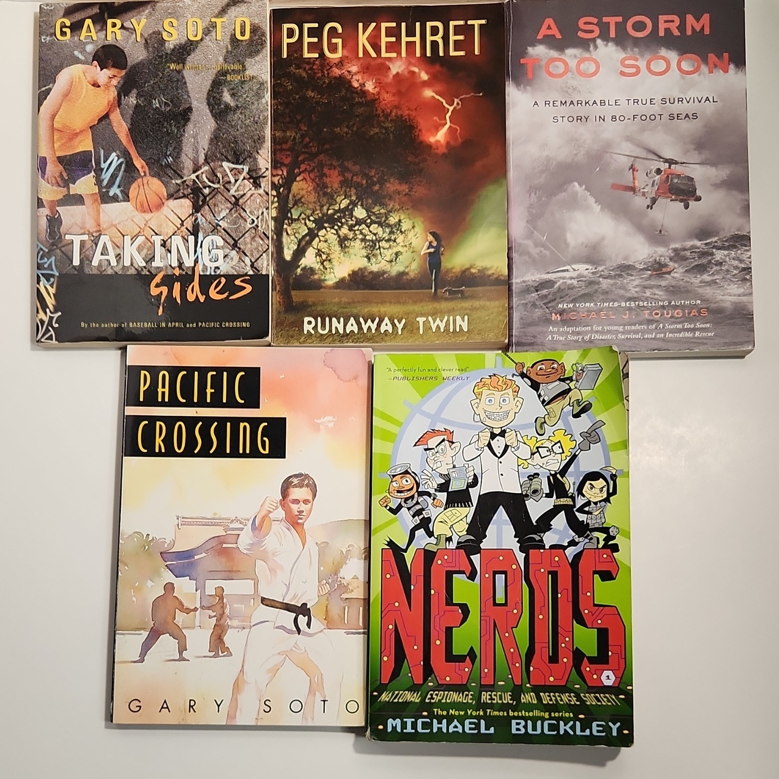 Lot of 10 Scholastic Young Adult Chapter Books 8-11 Years