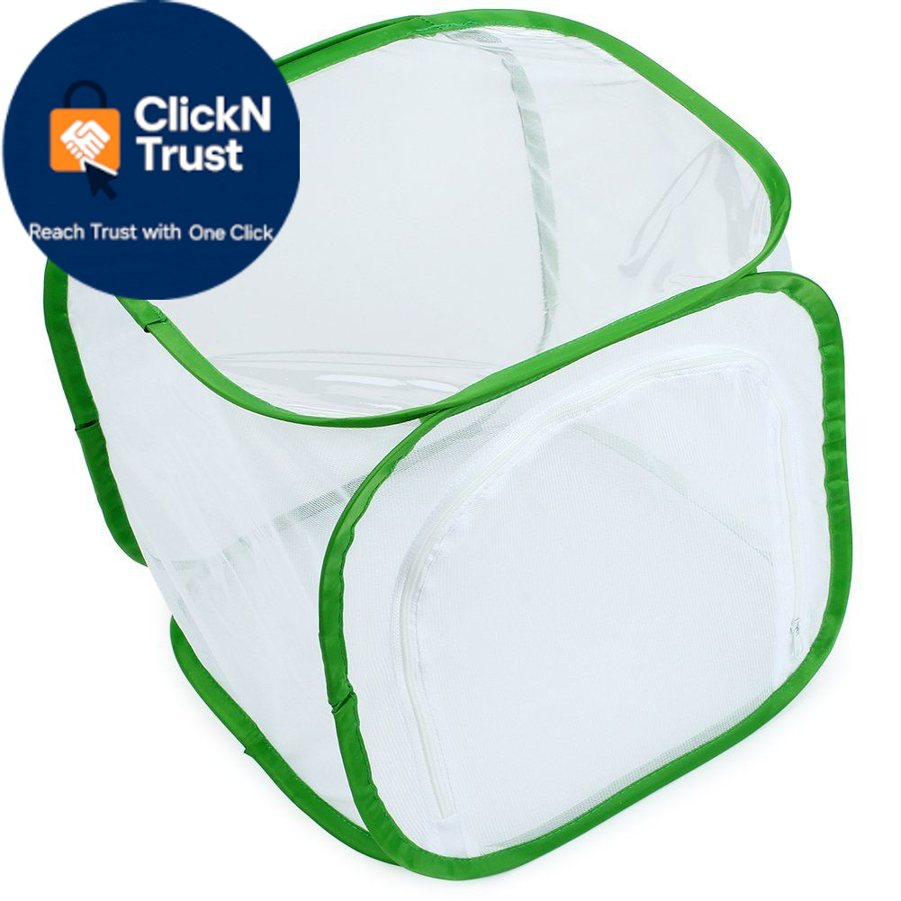 RESTCLOUD Insect and Butterfly Habitat 12 x 12 x 12 inches, White With Green