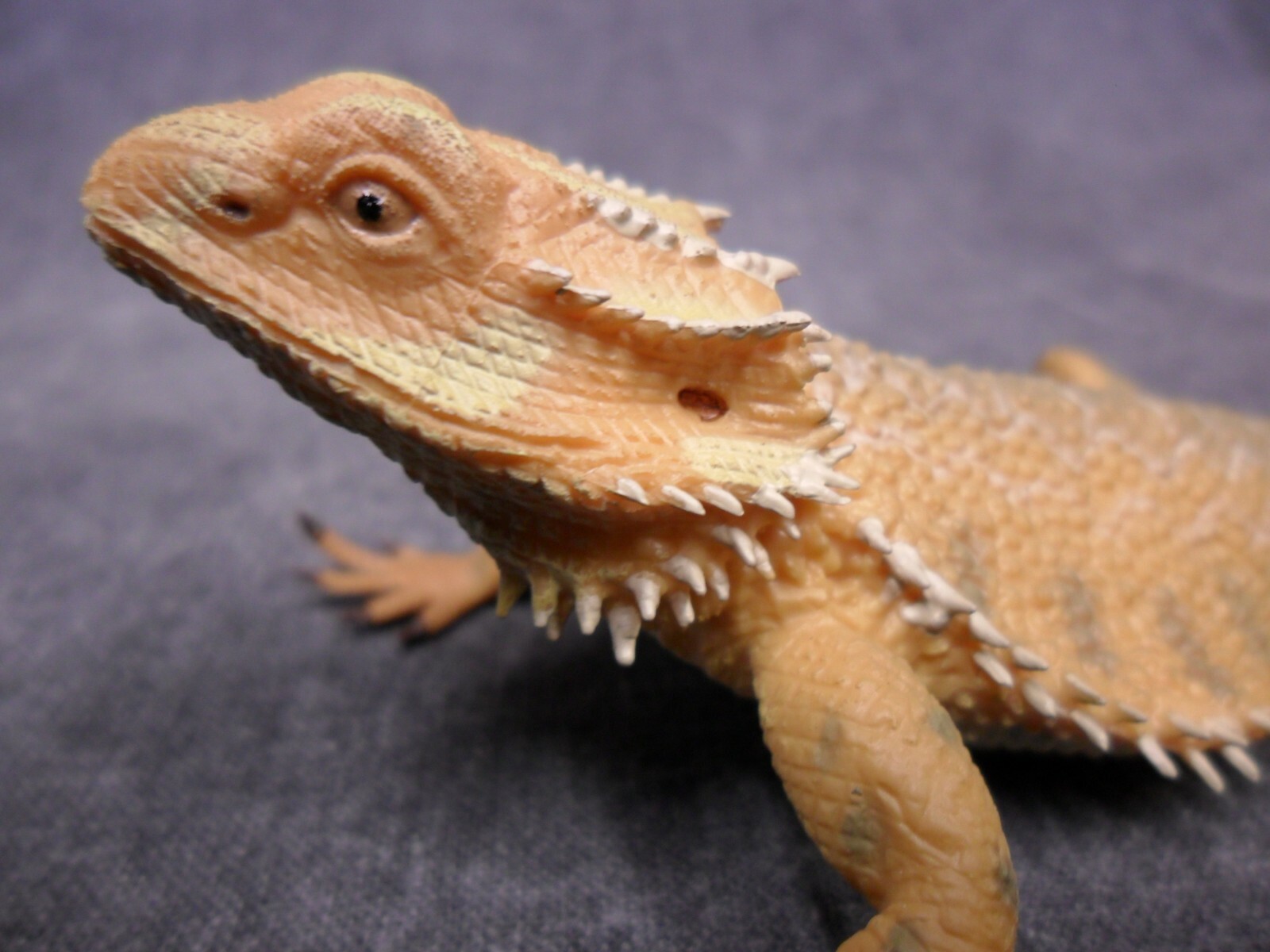 CollectA NIP * Bearded Dragon Lizard * 88567 Wildlife Pogona Model Toy Figurine