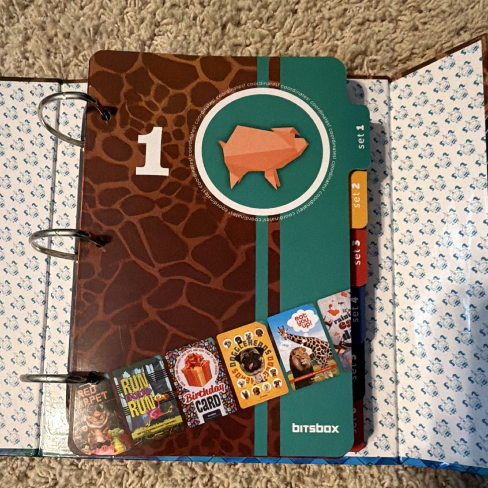 Bitsbox Set 1 Educational Coding Book Multicolor for Kids 8-11 Years Science