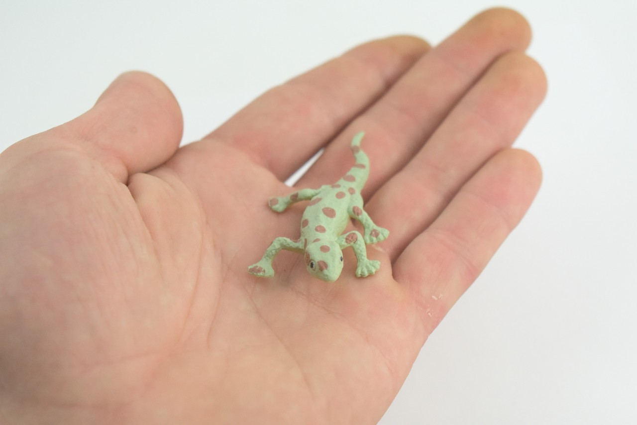 Spotted Gecko, Toy Lizard, Realistic Hand Painted Rubber, 2.5″ WR46 B197