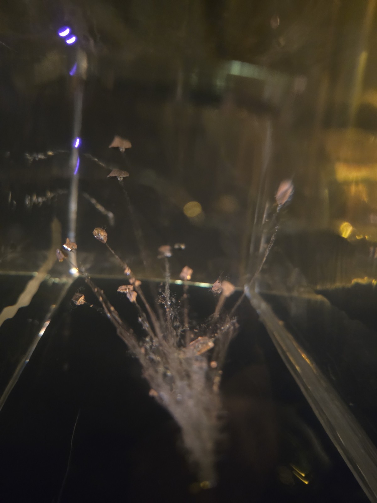 CLEAR BALLISTICS GELATIN WITH FRAG. AMMO. 20X8X8 IN A CASE. NICE EXAMPLE…