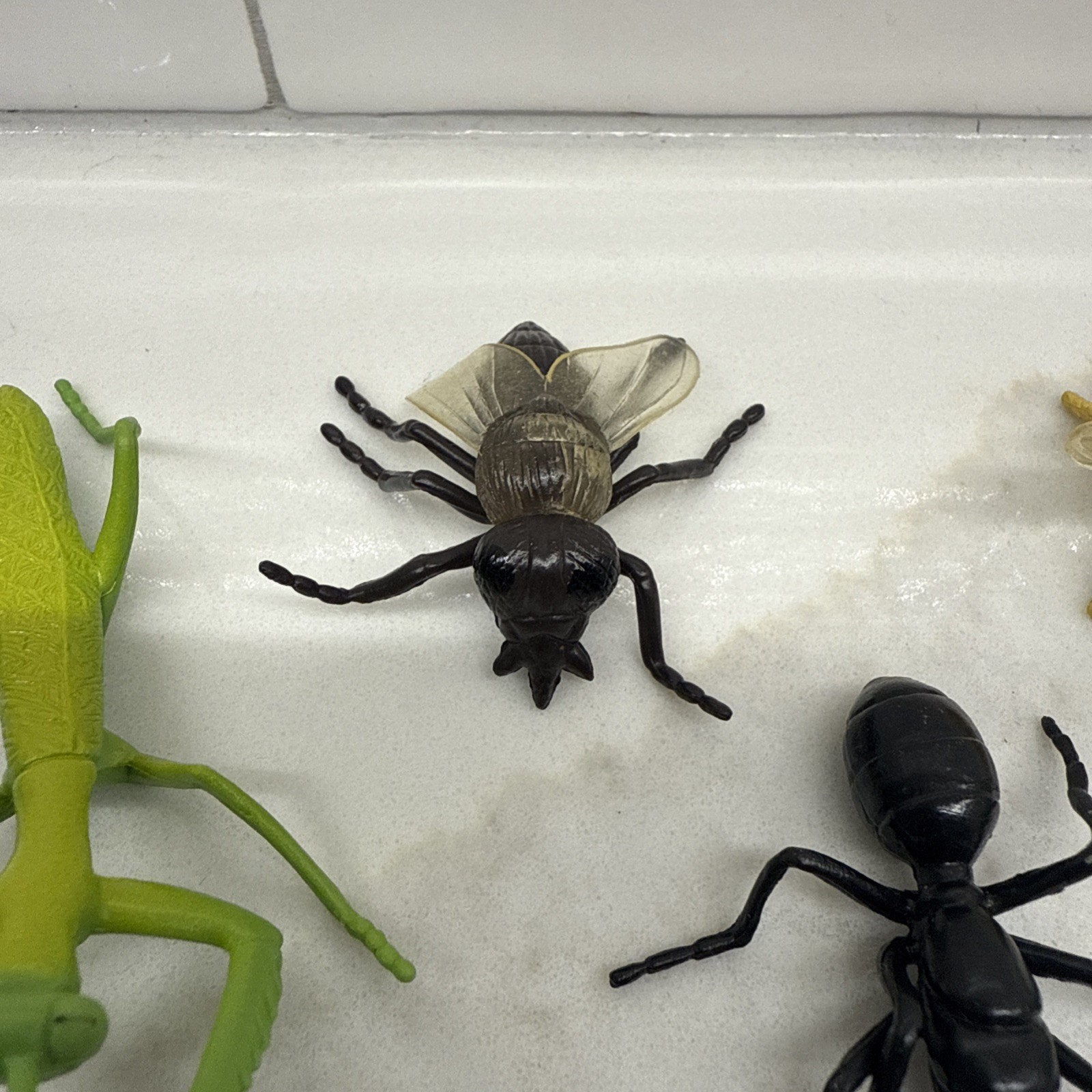 Safari Ltd Bugs Insects 2″-3″ Praying Mantis, Ant, Fly & Bumble Bee