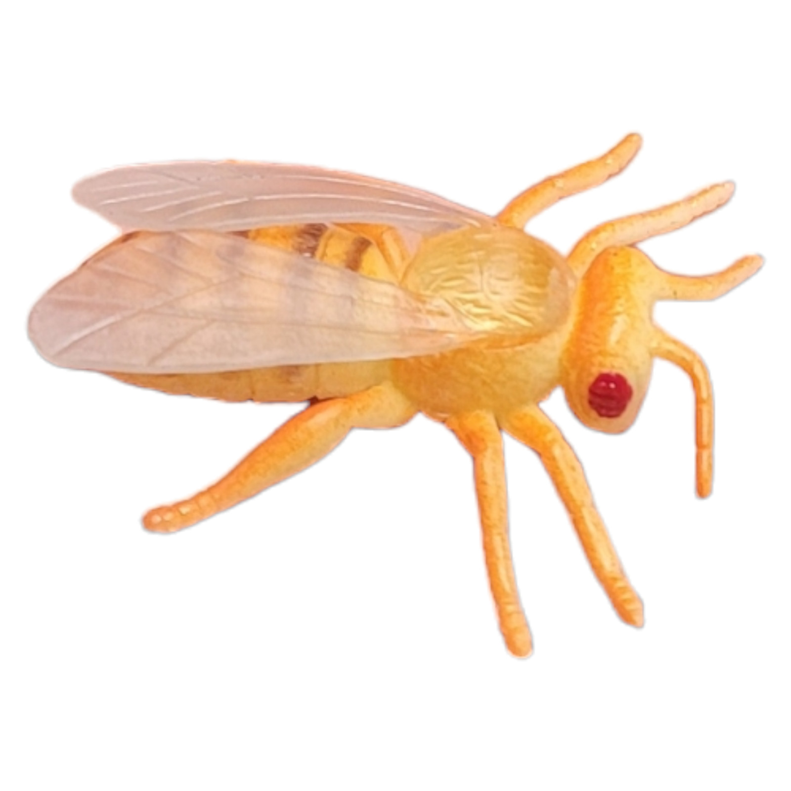 Large 2″-3″ Insect Set (12 Pack) Plastic. 12 Realistic Looking Mini. Lady Bug