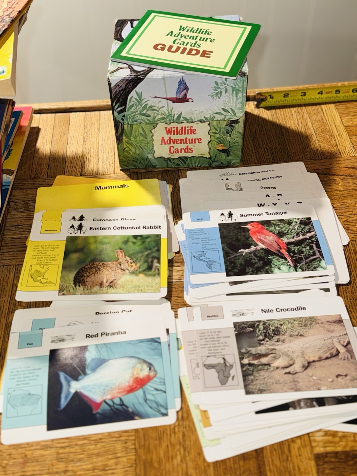 EUC! Wildlife Adventure Cards Educational Cards By Grolier 1991 Homeschooling