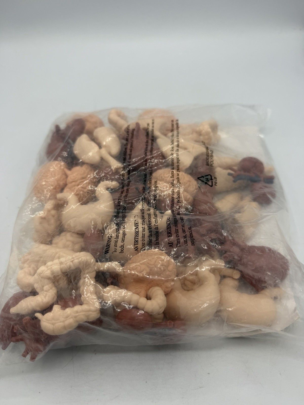 Safari Ltd Human Organs 48 Pieces Bulk Bag