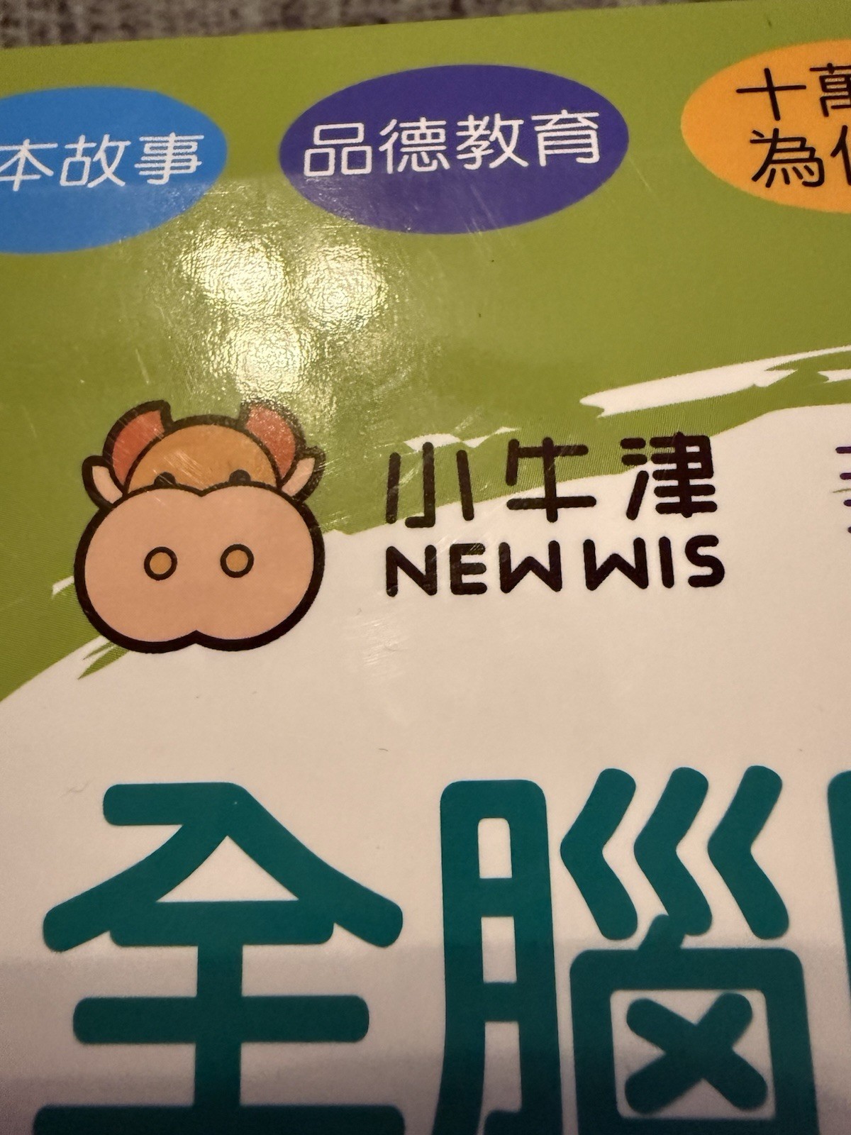 Open box: NEWWIS 全腦開發 點讀大寶盒 48件組 16G 充電式點讀筆 語言學習 教育 主題 童書 彩色