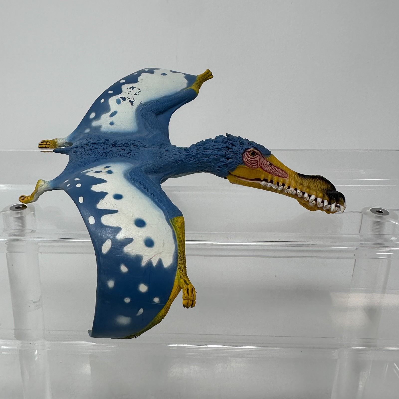 Schleich Anhanguera Figure Blue Prehistoric Dinosaur Animal Figurine 5.5″ 2014