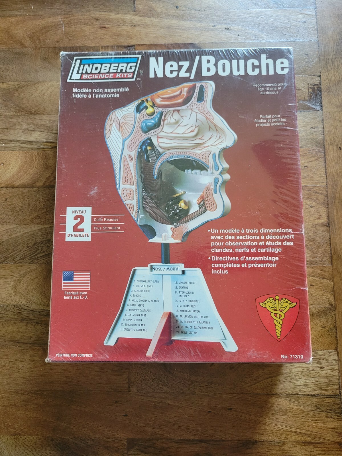 Lindberg Science Kits: Nose/Mouth Skill Level 2 New Unassembled Healthcare Model