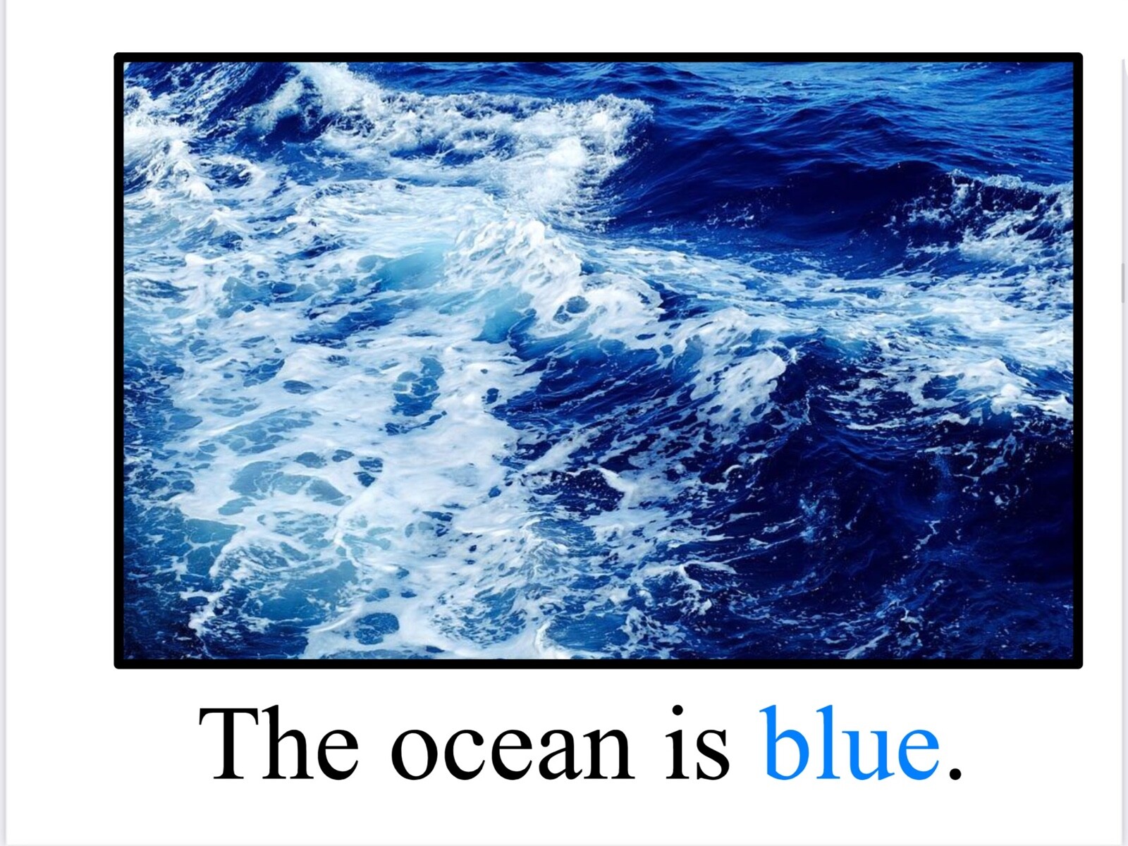 BLUE | Beautiful Butterfly Blue | LEARNING COLORS | Spiral Bound Picture Book