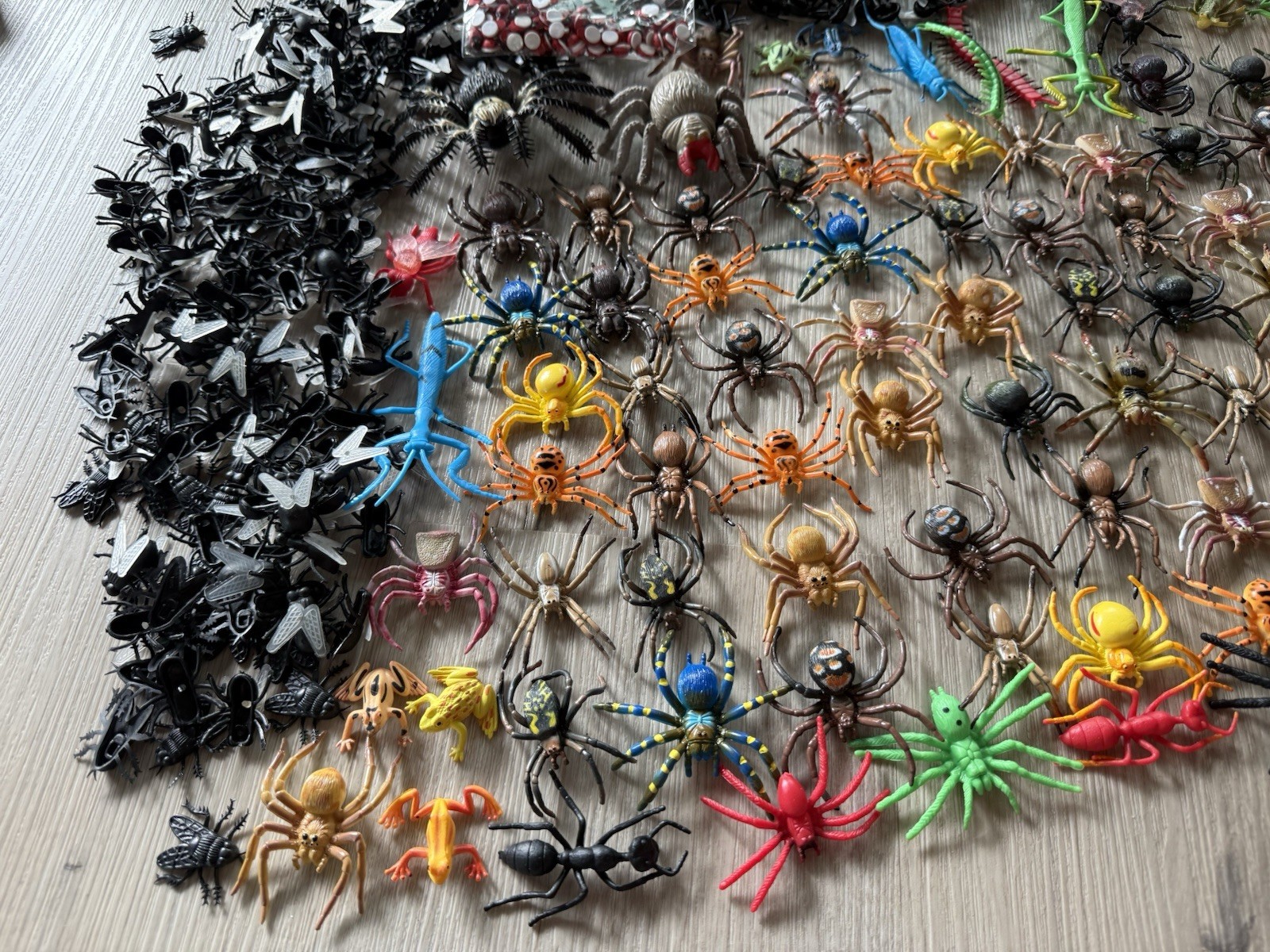 Giant Lot Of Rubber Plastic Insects Bugs Toy Figures Spider Beetle Lizards Flies