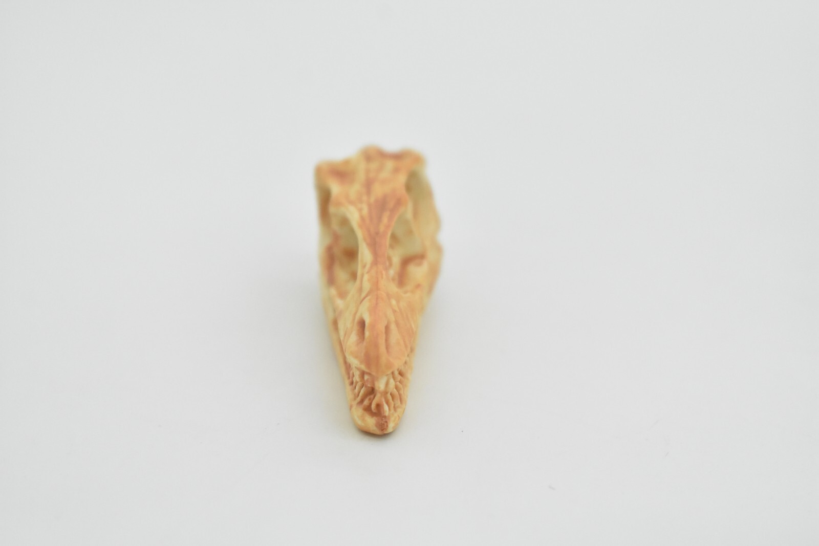 Velociraptor, Dinosaur Skull Fossil, Educational, Realistic Rubber Toy Model 2″