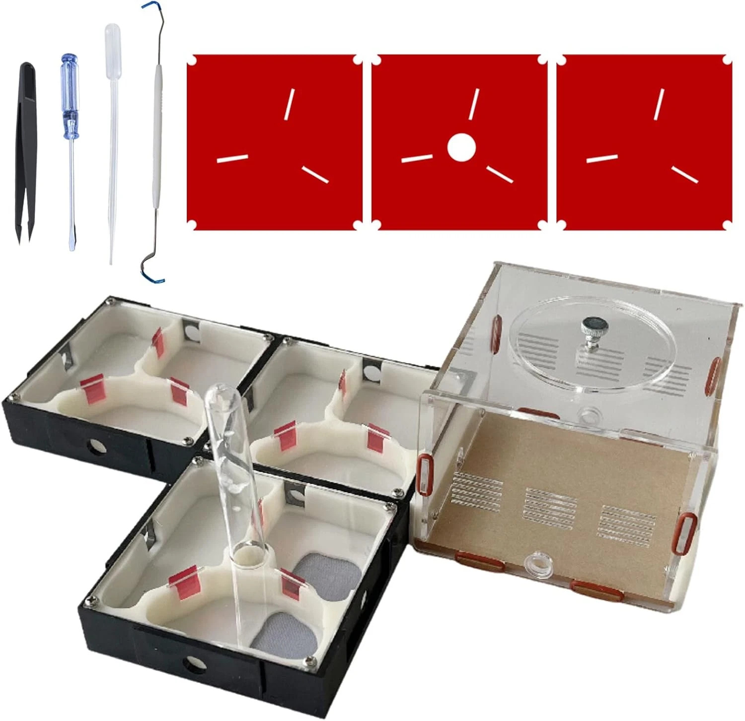 Ant Farm Nest Science DIY Terrarium Kit Care for Live Ants Ant Habitat with Wate