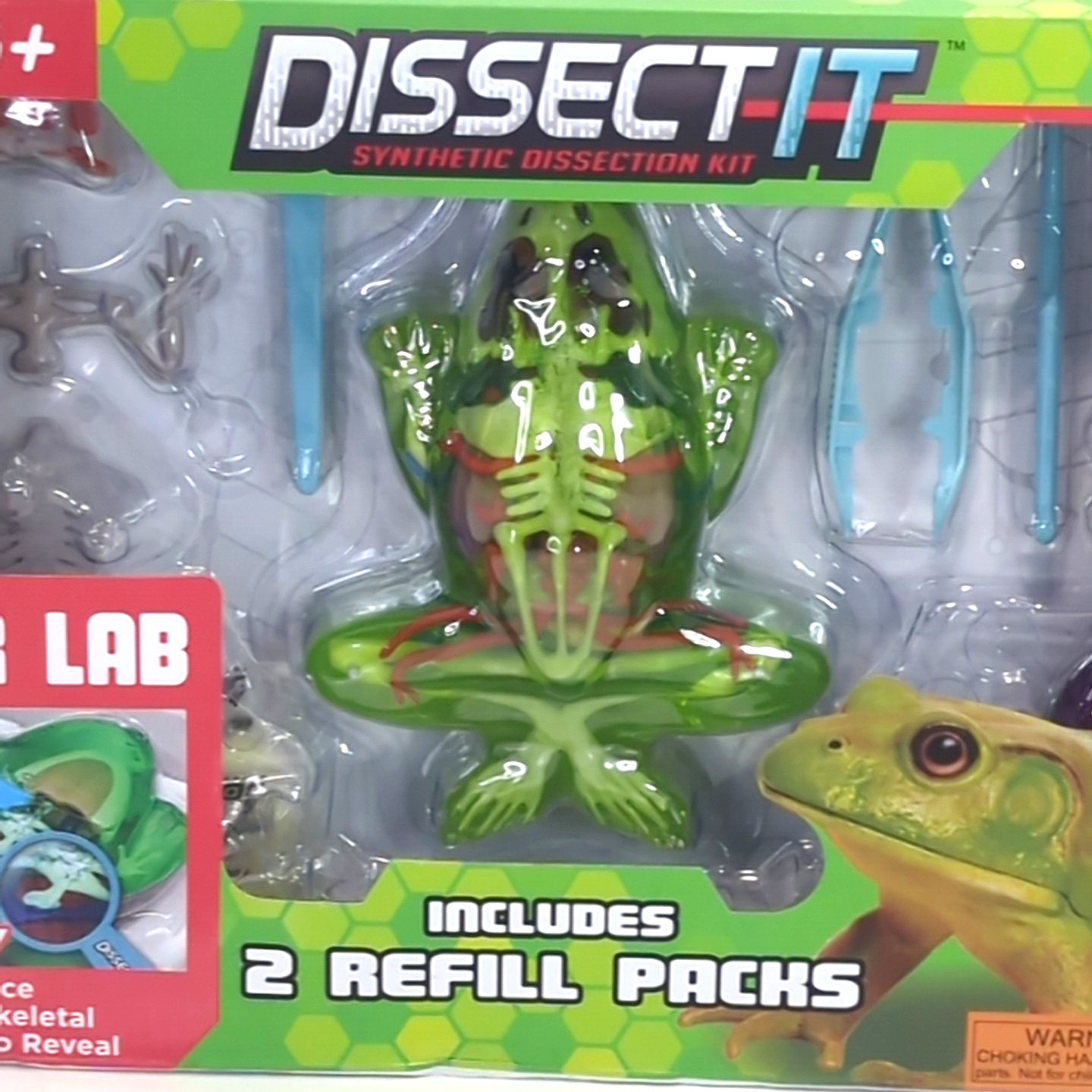 Rehco Toys 2019 STEM Dissect-It Frog Synthetic Dissection Kit New & Sealed NIB