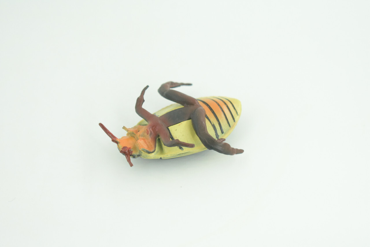 Yellow Edged Diving Beetle Toy Realistic Hand Painted Rubber 2.25″ CH857 BB198
