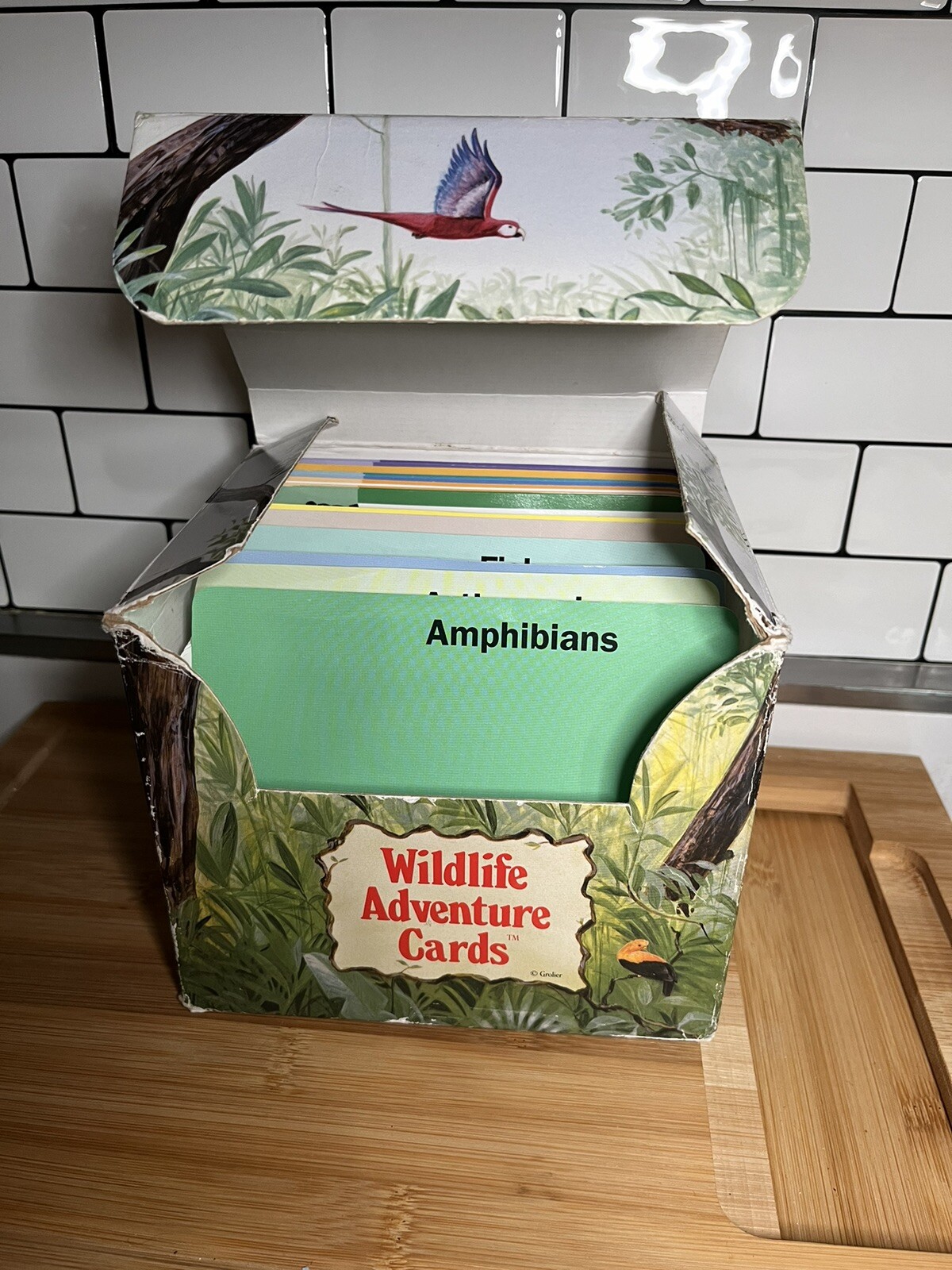 Vintage Grolier Wildlife Adventure Cards Boxed Education Homeschool Science 1995