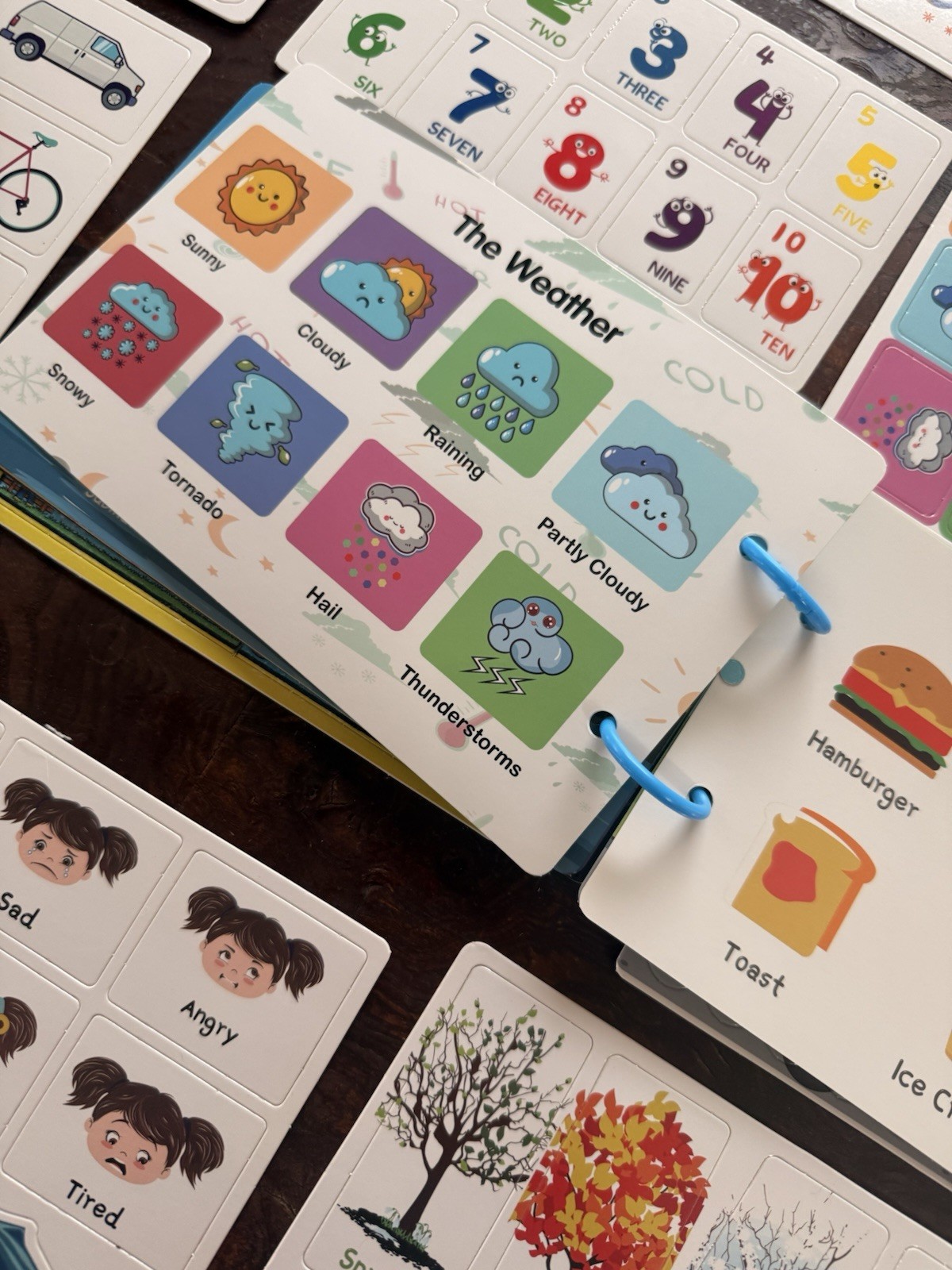 Montessori Preschool Learning Board Set