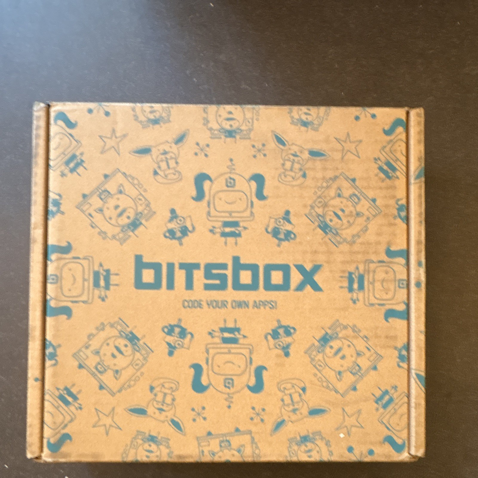 Bitsbox Coding Subscription Box Animal House Edition w/ Guides