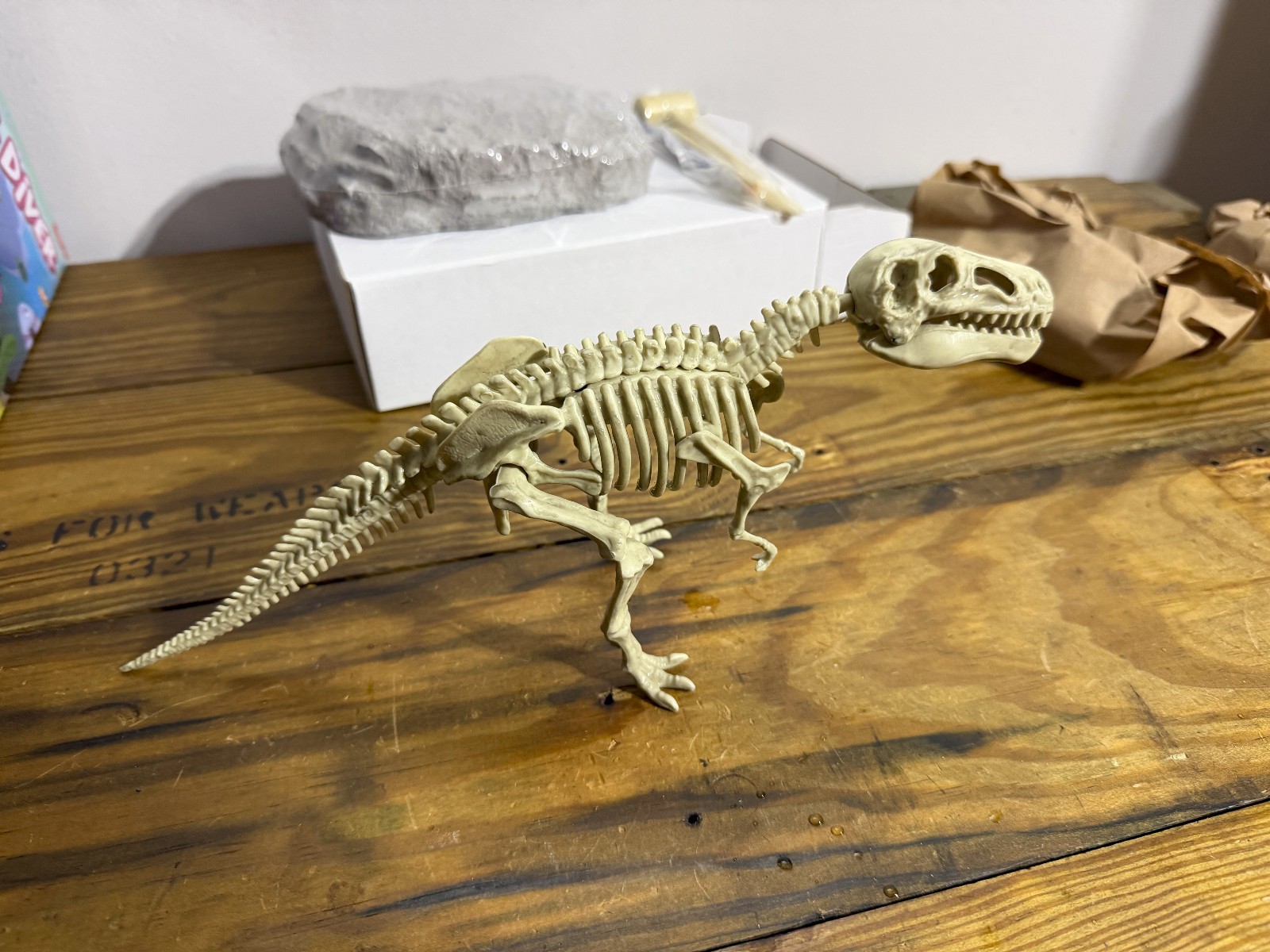 Science Dinosaur Digging Fossil Kit for Kids, Dinosaur Bones Excavation Kit