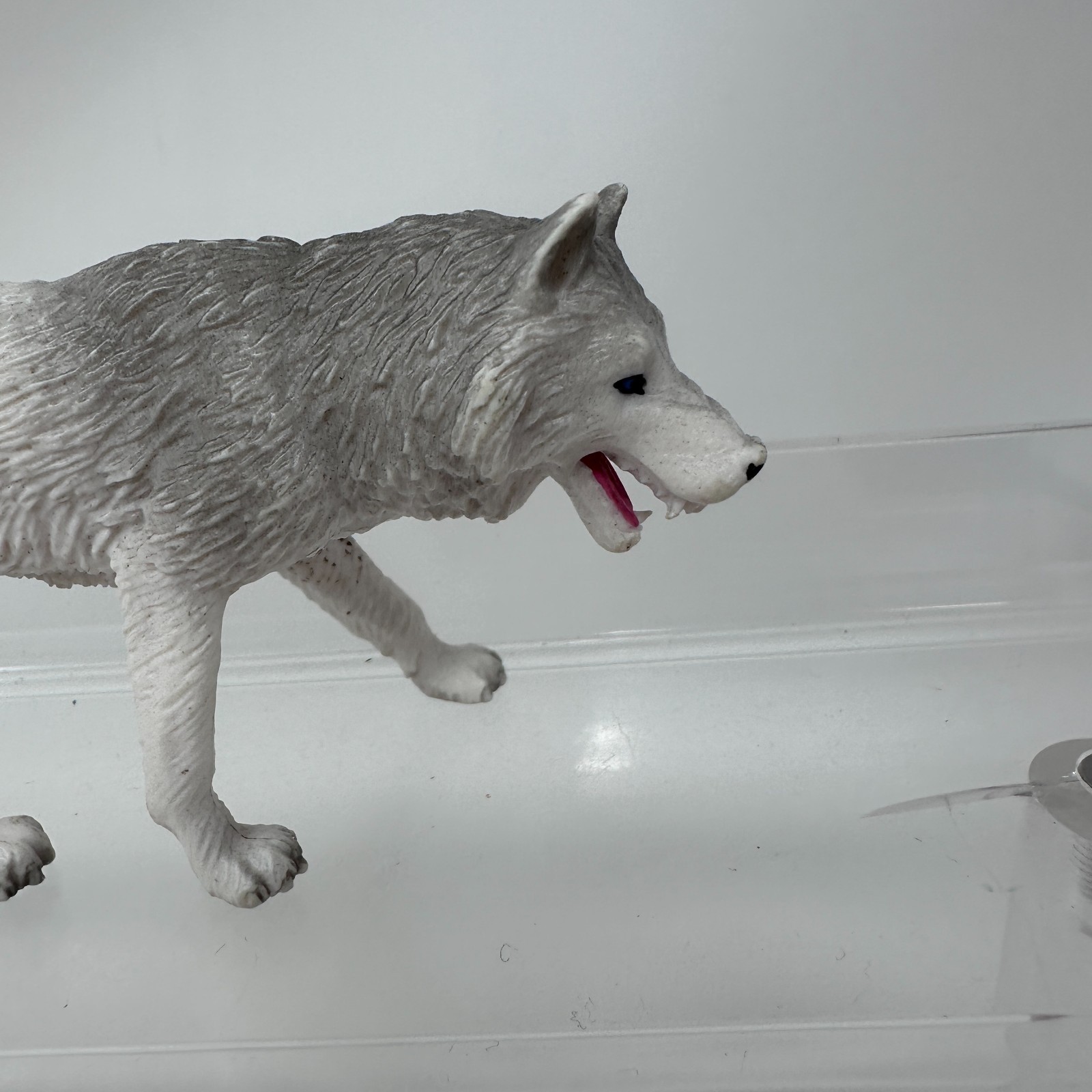 Mojo Arctic Wolf Figure White Wildlife Zoo Safari Snow Dog Animal Figurine 2022