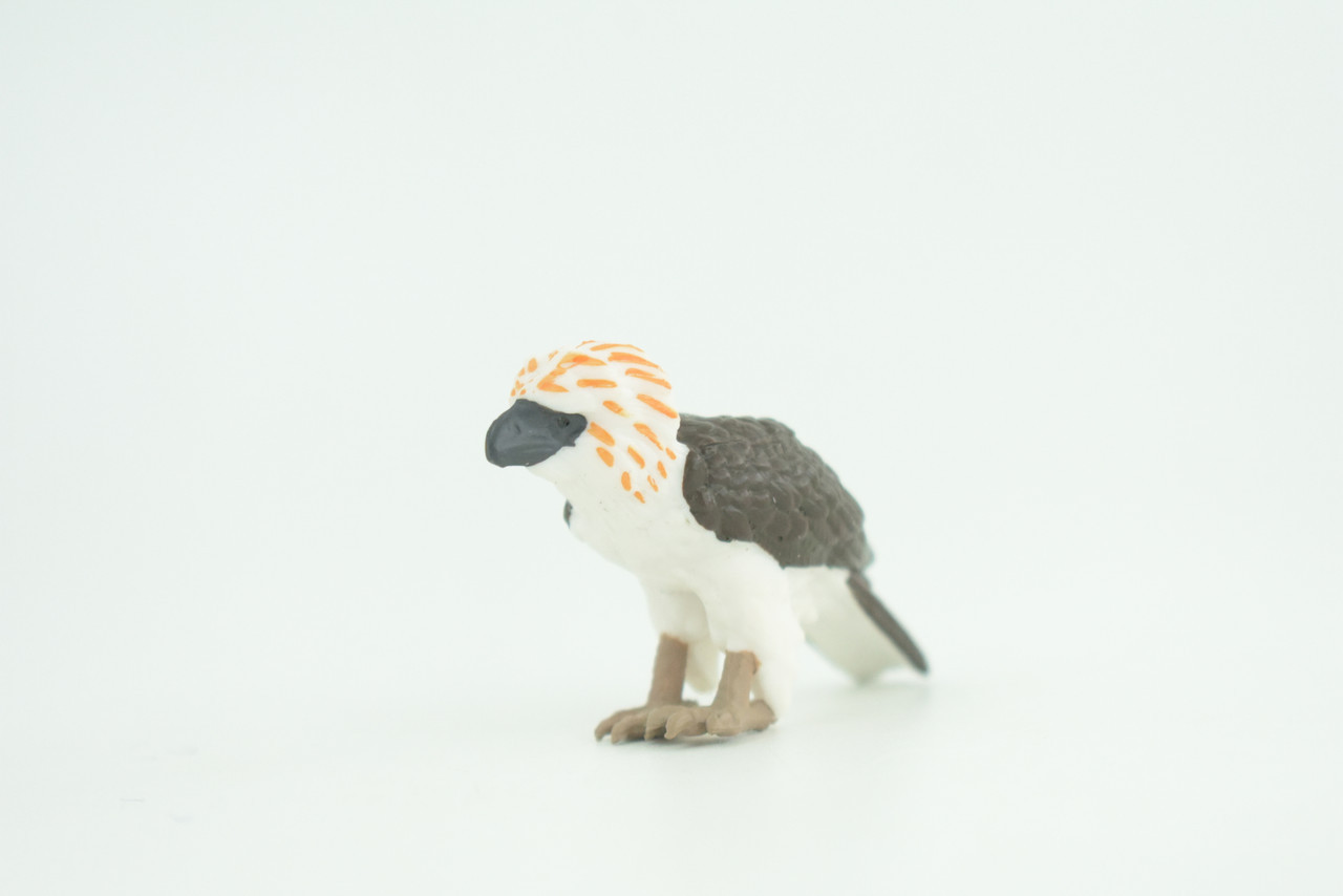 Philippine Eagle, Monkey Eagle Toy, Realistic Painted Rubber 2.5″ CH926 BB204