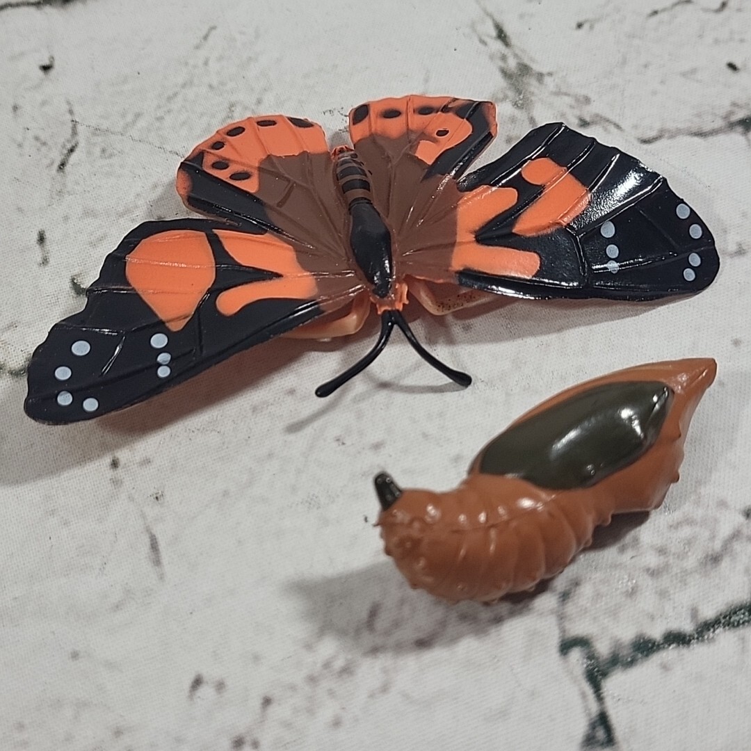 Jumbo Bugs Insects Figures Caterpillar Fly Tadpole Frog Eggs Science Nature Lot