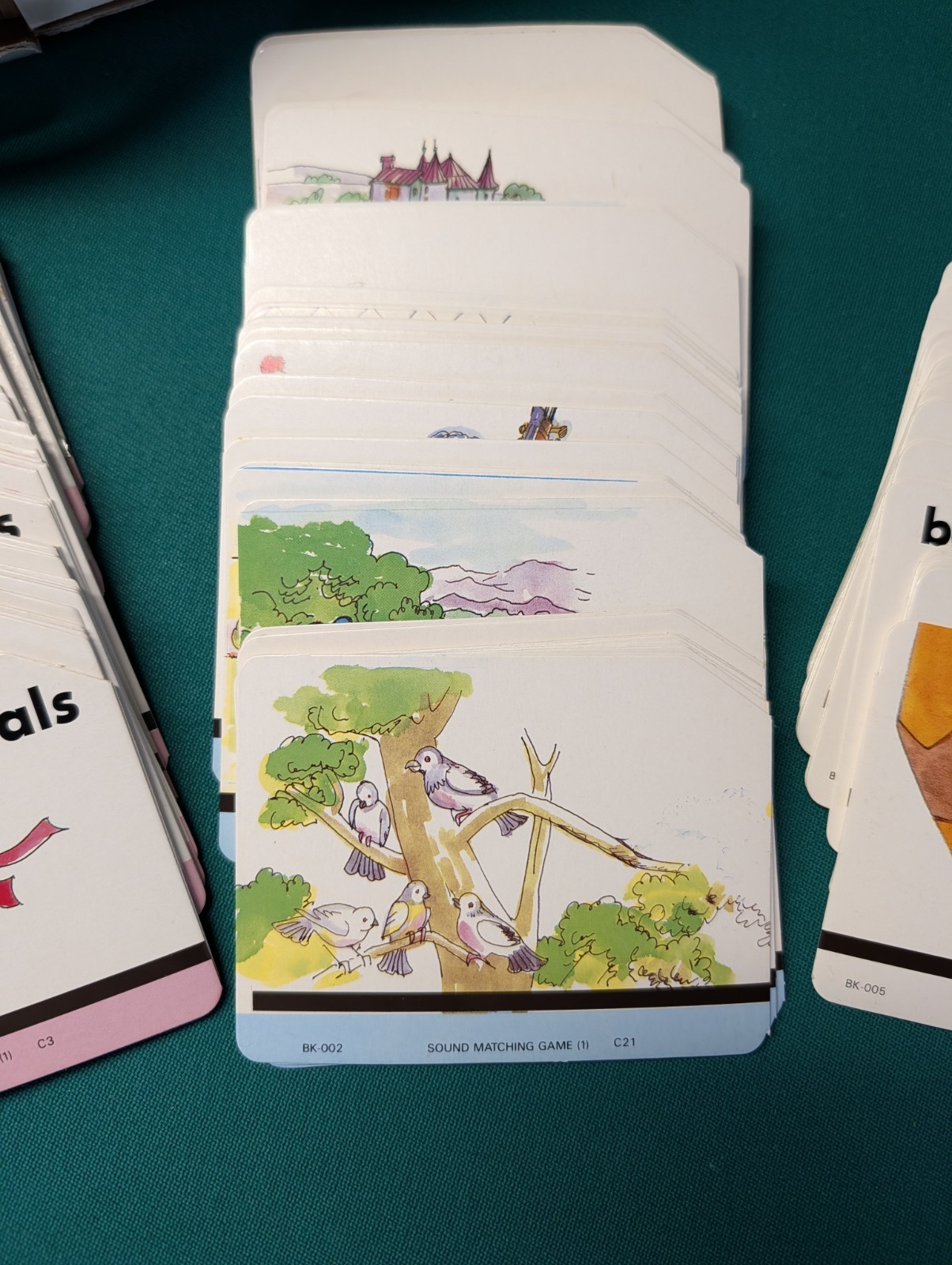 Audio Picture Learning Cards By Charlie 248 Cards For Use W/TK-348 Card Player