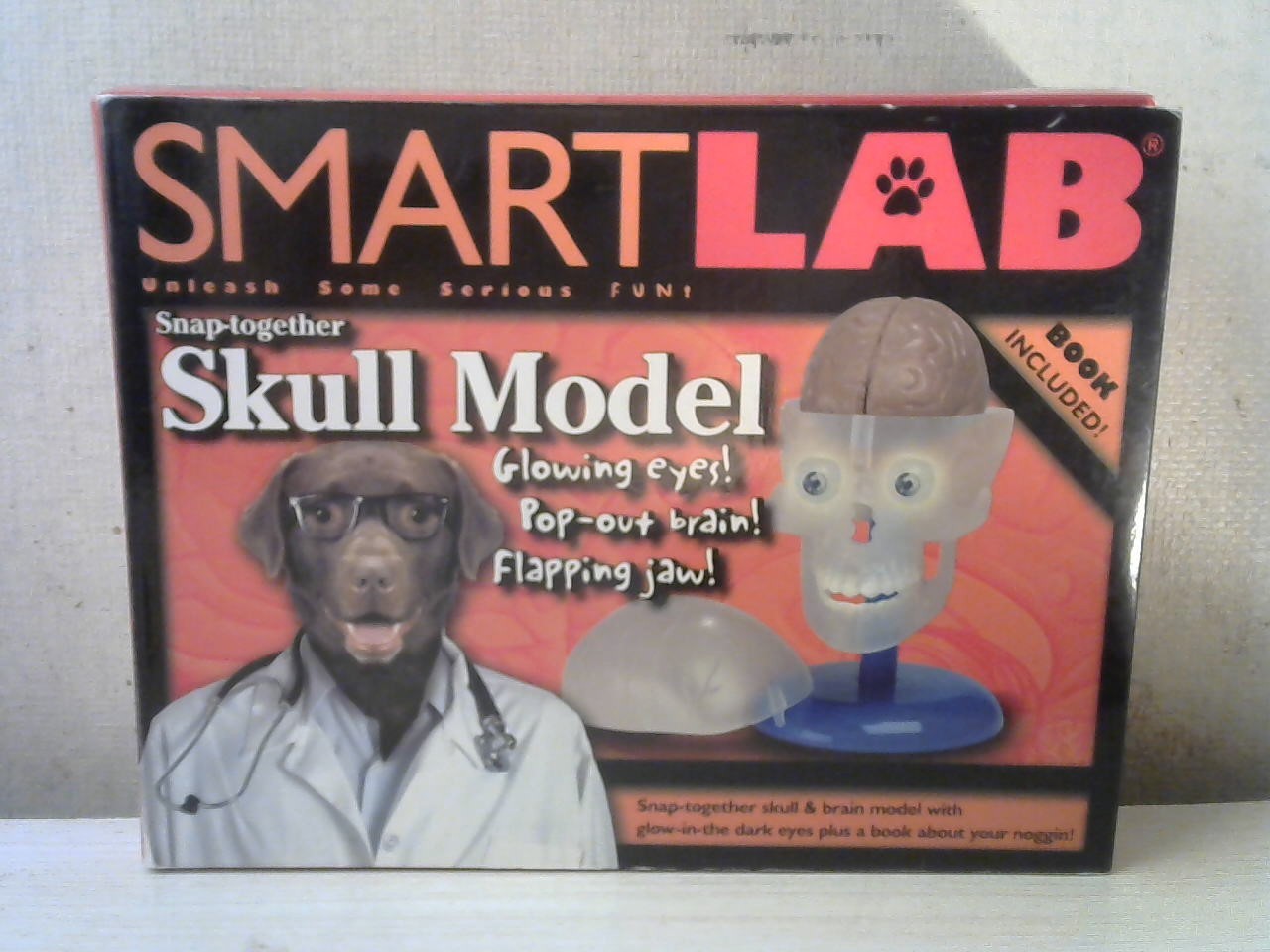 SmartLab Snap-Together Skull Model book included