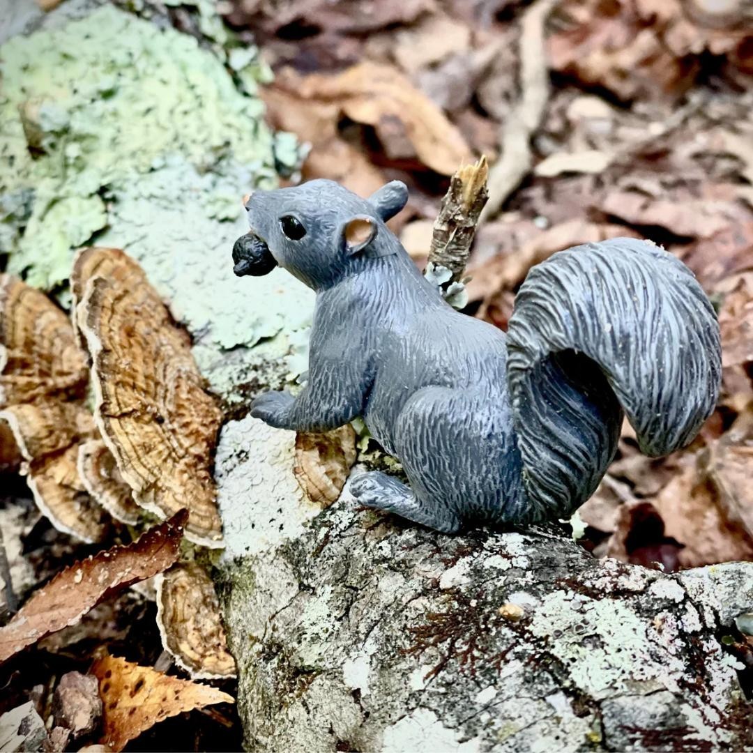 Gray Squirrel Figurine – Woodland Wild Animal Toy Figure – NEW Safari Ltd 296129