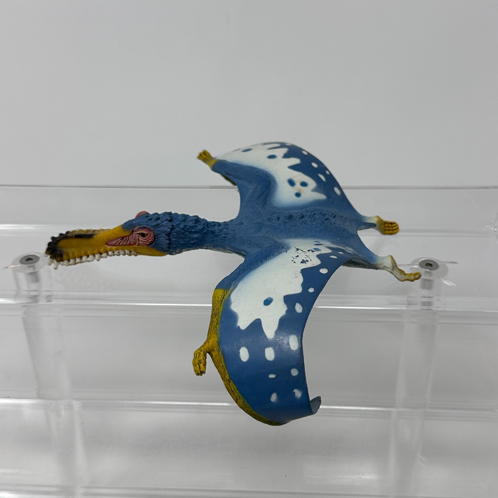 Schleich Anhanguera Figure Blue Prehistoric Dinosaur Animal Figurine 5.5″ 2014