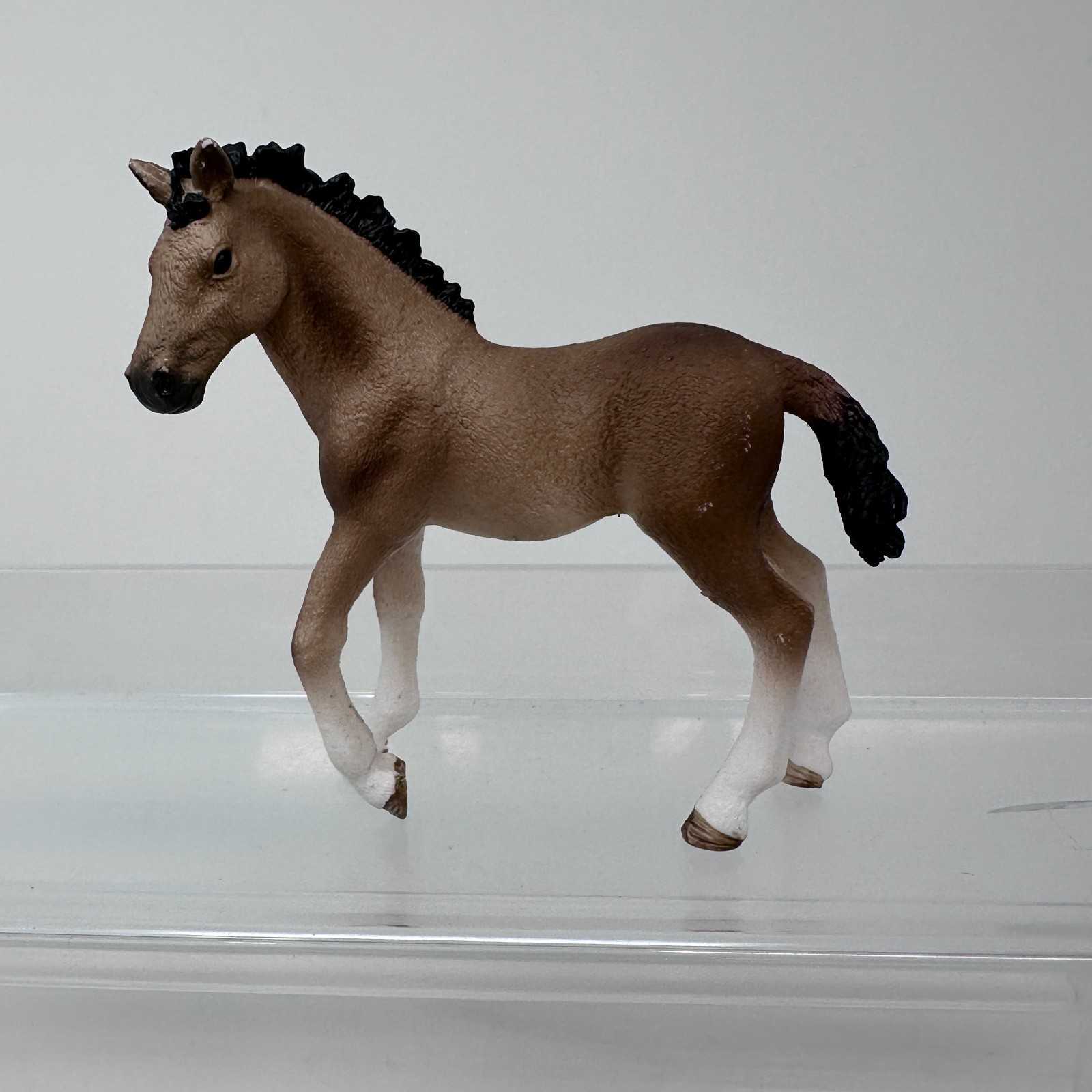 Schleich Andalusian Foal Figure Brown Baby Colt Horse Farm Animal Figurine 2016