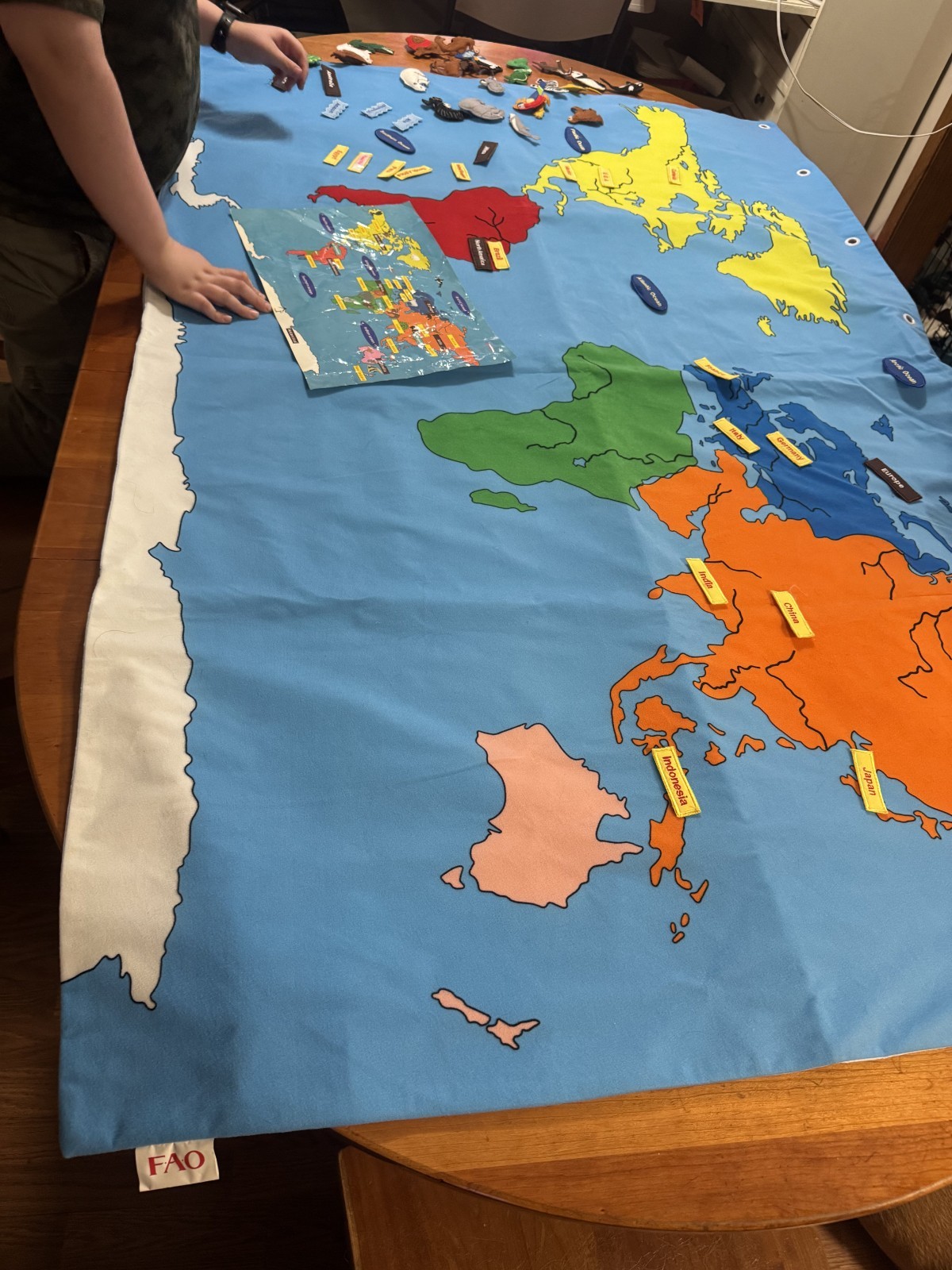 FAO Schwarz Educational 47″ x 71″ The Big Map Discover the Big Wide World