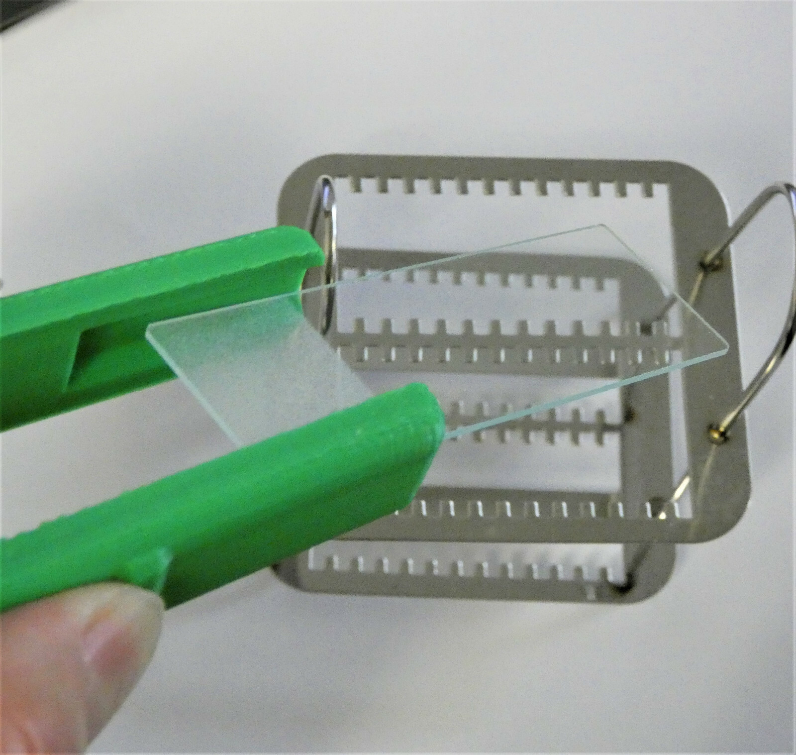 Plastic Microscope Slides Forceps Holder Rack For 3″x1″ Standard Slide Staining