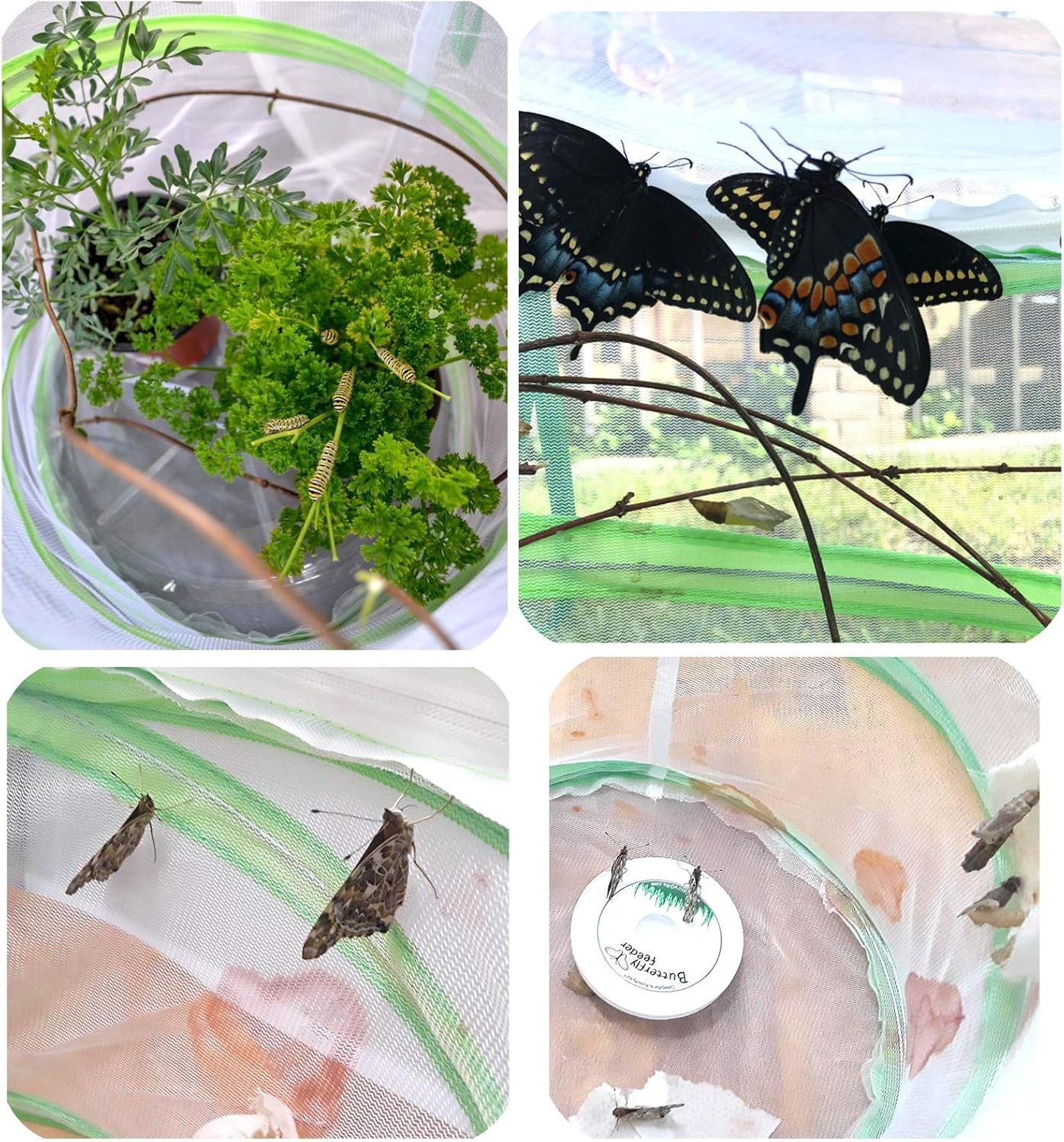 Pop-Up Insect and Butterfly Habitat Cage Terrarium – 12 X 14 Inches Tall