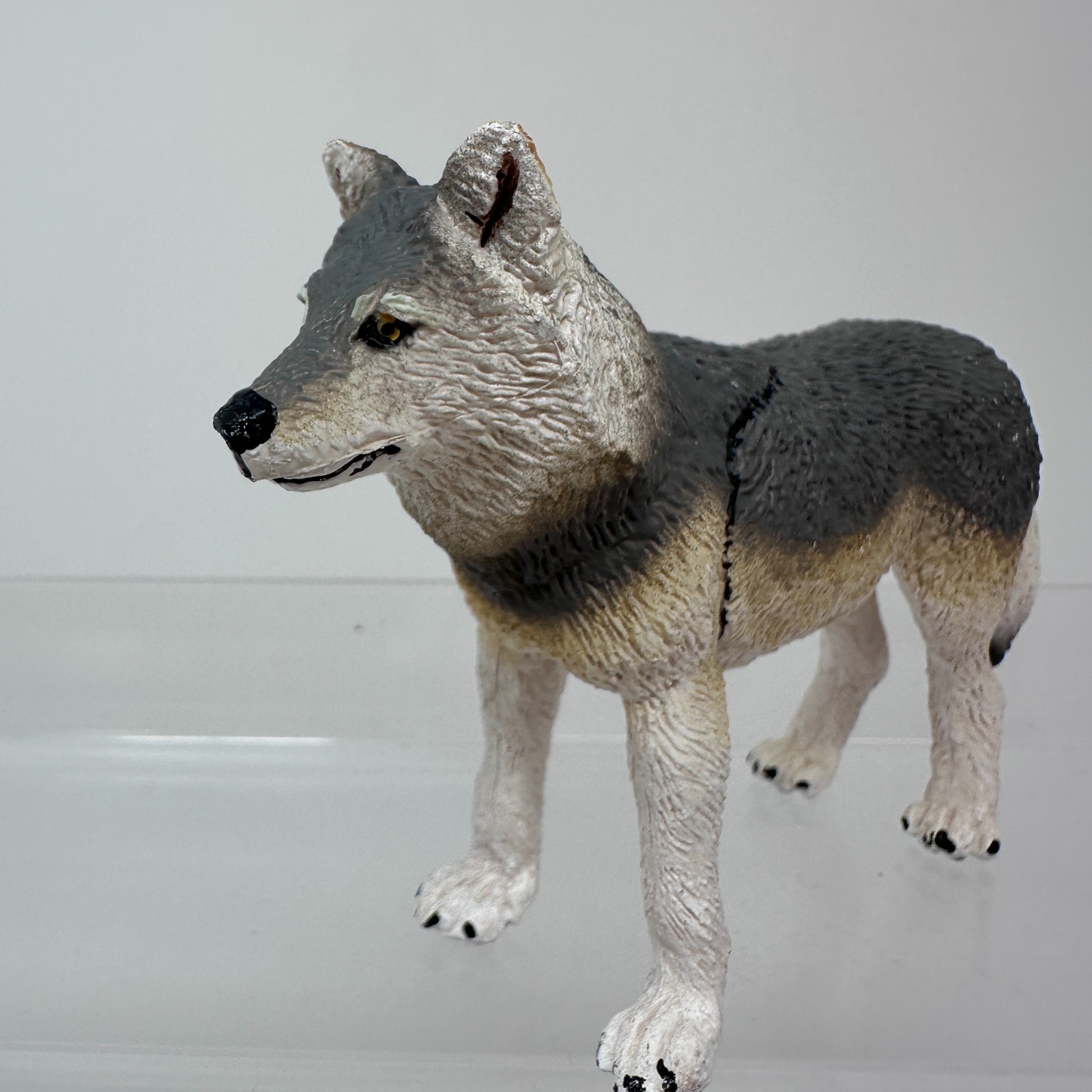 Safari Ltd Gray Wolf Figure Wild Dog Wildlife Zoo Jungle Animal Figurine 4″ 2020