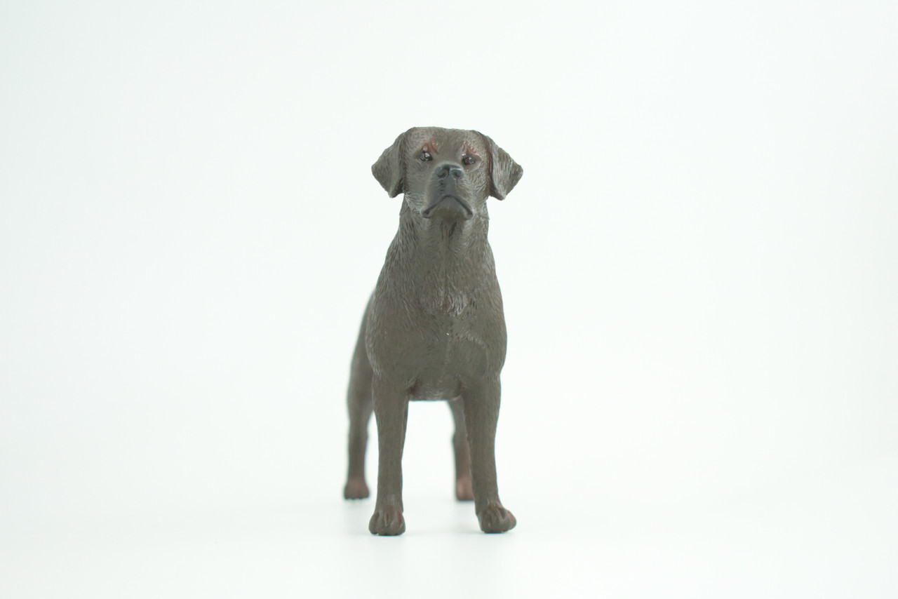 Labrador Dog Toy, Chocolate, Brown, Realistic Hand Painted 6 Inches CH935 BB206