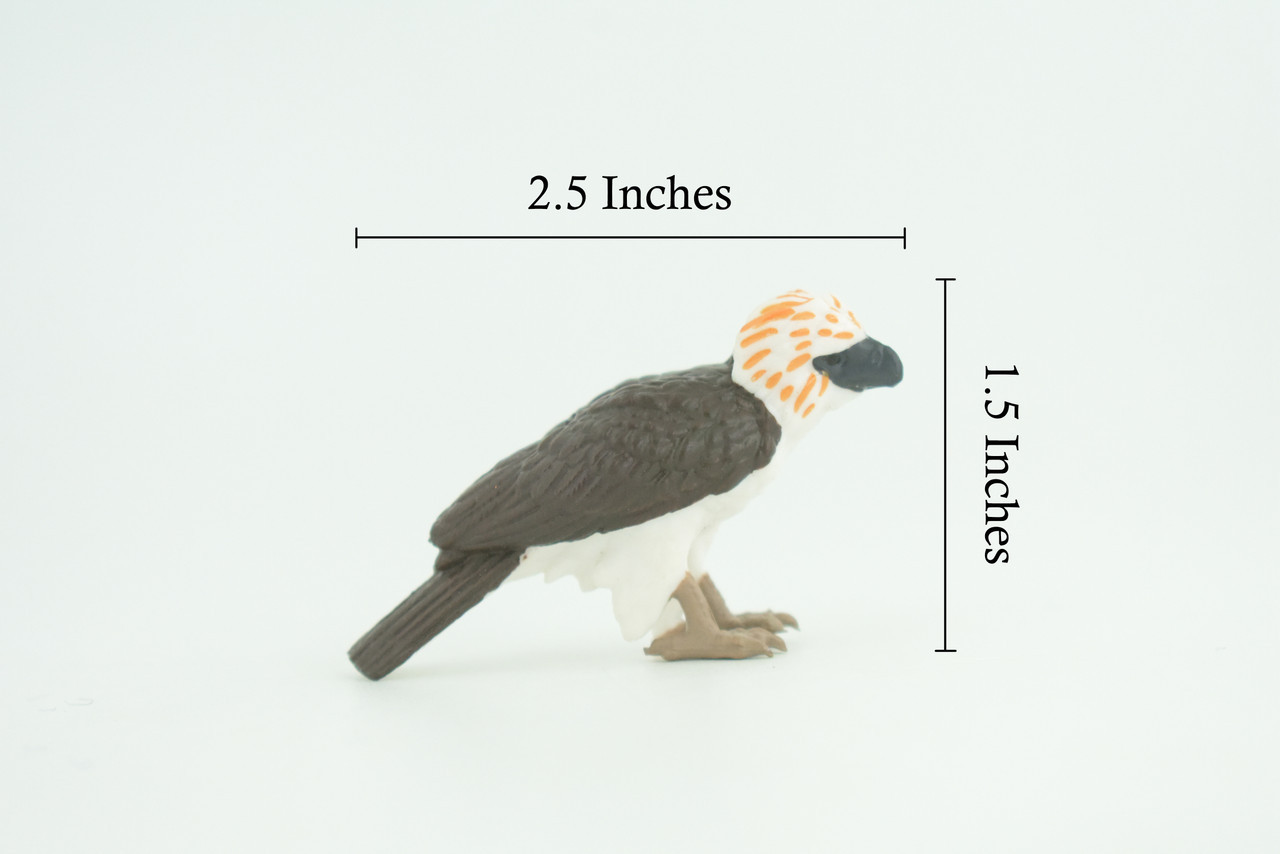 Philippine Eagle, Monkey Eagle Toy, Realistic Painted Rubber 2.5″ CH926 BB204