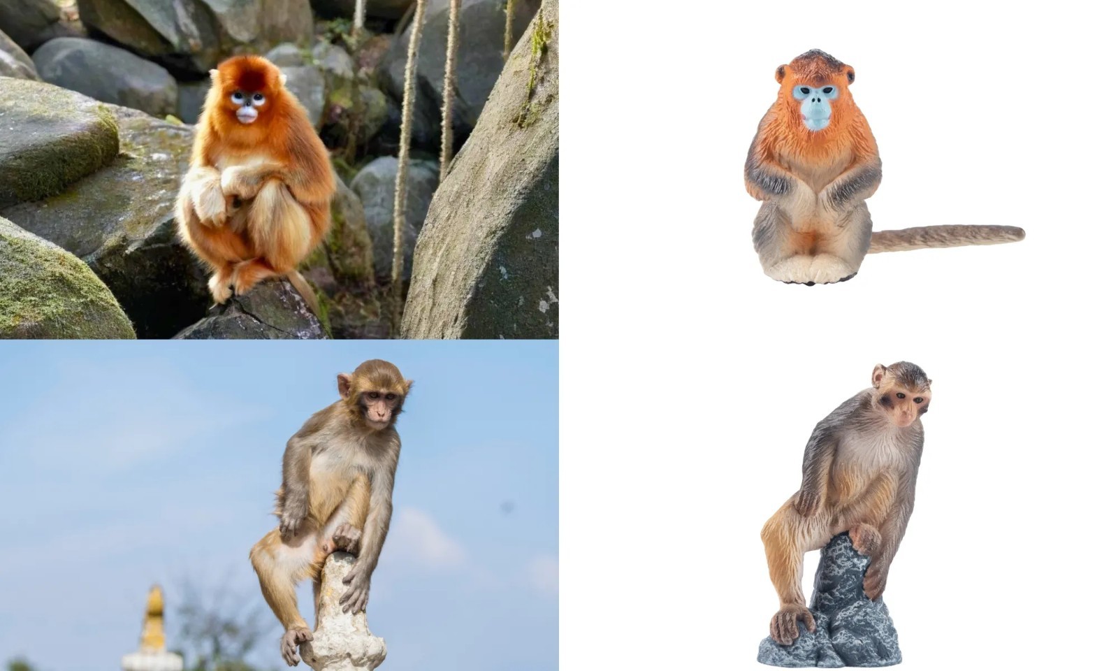 Toymany 15pcs Primates Animal Figurine Realistic Collectible Handpainted Toy Set
