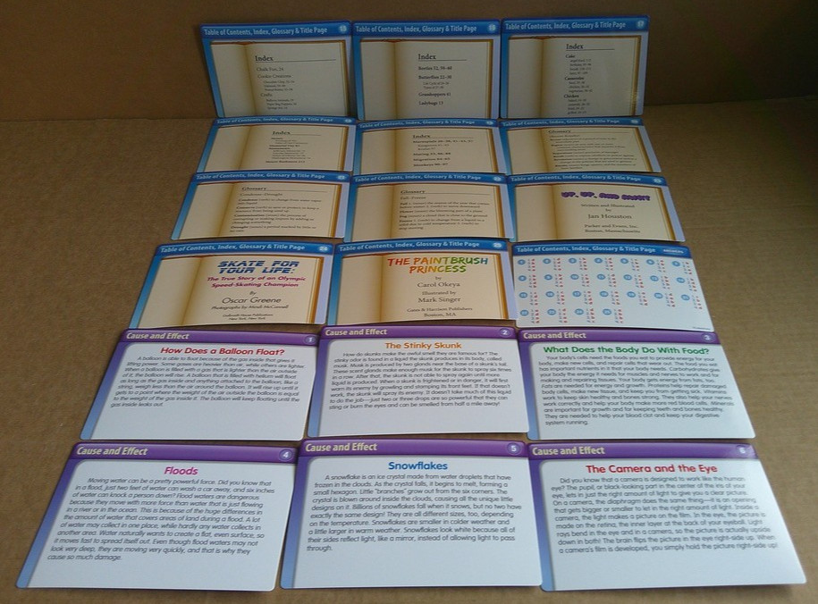 LAKESHORE Nonfiction Comprehension Quickie Cards with Box (100% complete)