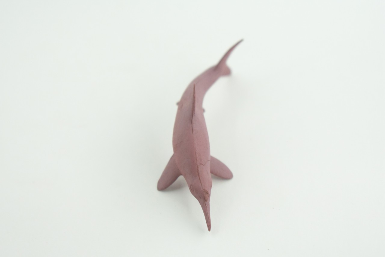 Toy Pink Dolphin, Indo-Pacific Humpback Dolphin, Realistic 2.5 Inches CWG50 B197