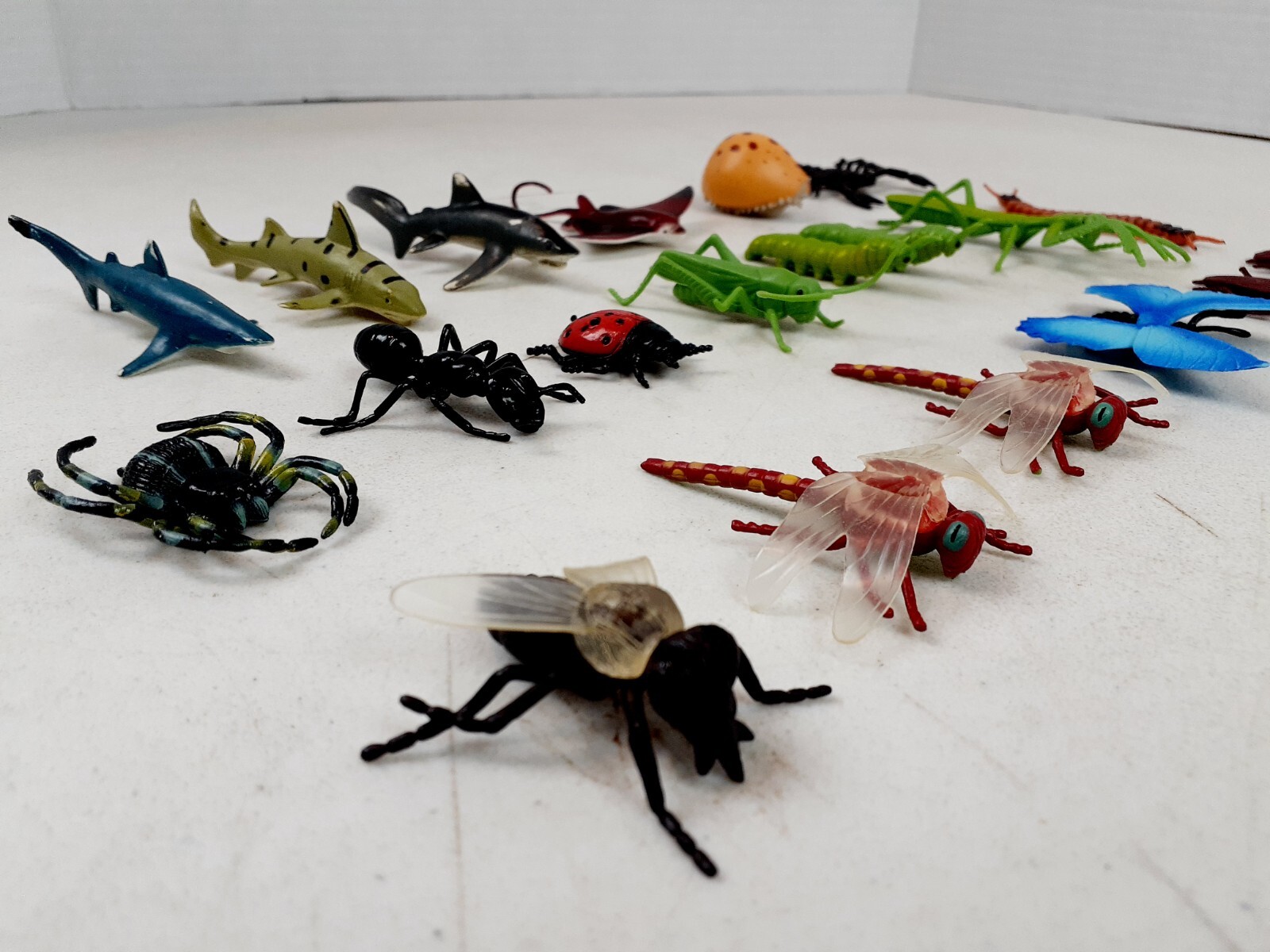 Lot Of 20 Safari Ltd Mini Figures Bugs Insects 2″-3″ Cake Toppers Education 524