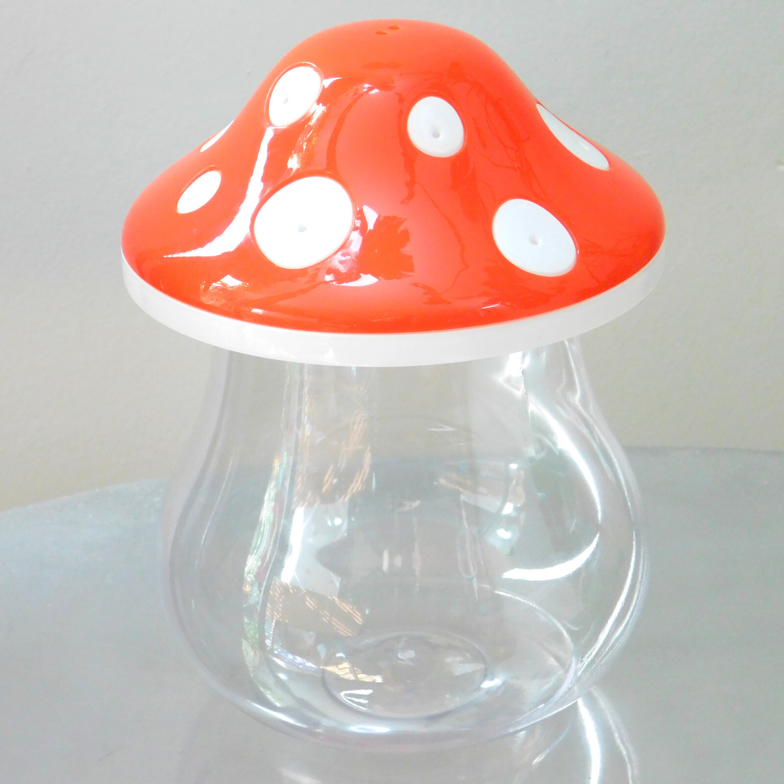 Clear Toadstool Mushroom Spider & Insect Enclosure Habitat Bug House w Screw Lid