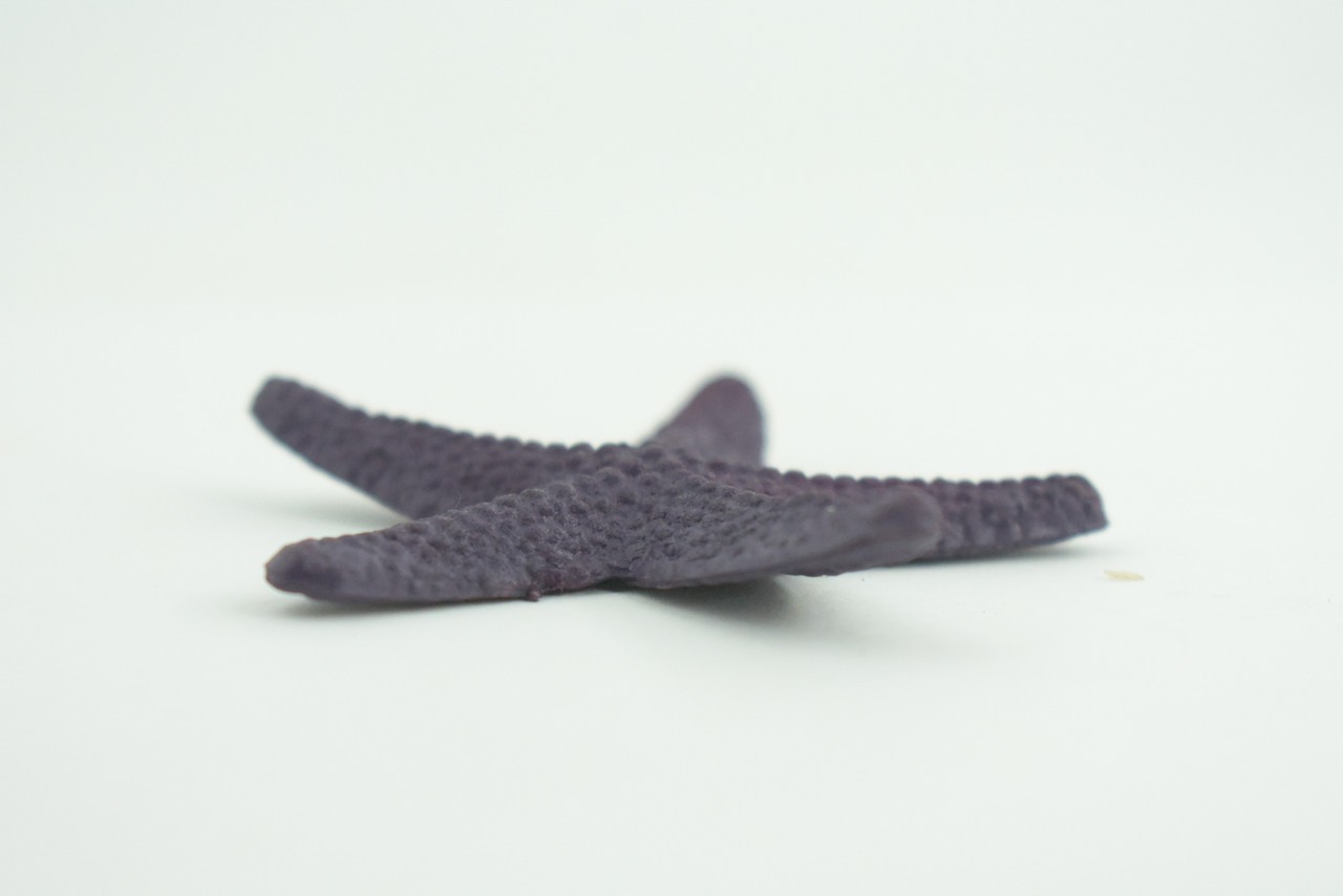 Toy Starfish, Purple, Sea Star, Realistic, Model, Gift, 2 1/2 Inches CWG49 B197
