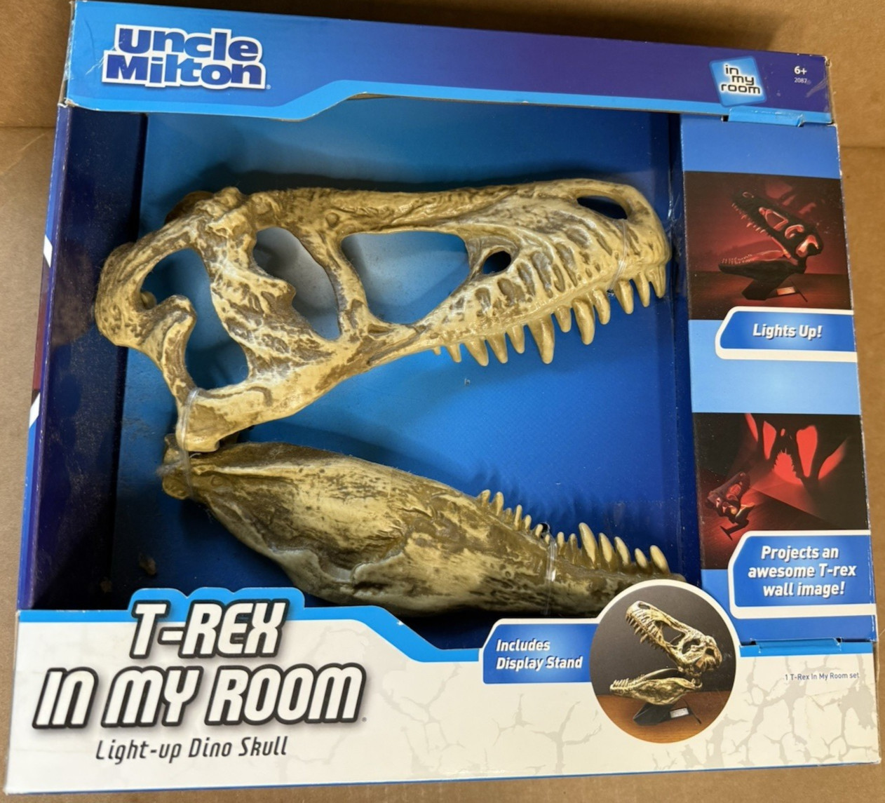 Uncle Milton T-Rex in My Room Light Up Dino Skull New Kids Room Decor