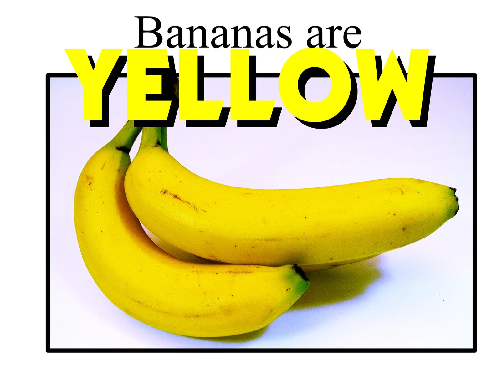 YELLOW | Bananas are Yellow | LEARNING COLORS | Spiral Bound Picture Book