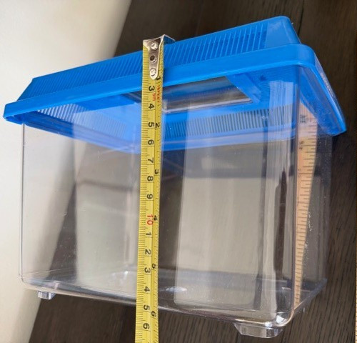 Kids Outdoor Bug Catcher Large Container Insect Specimen Acrylic (GR206)
